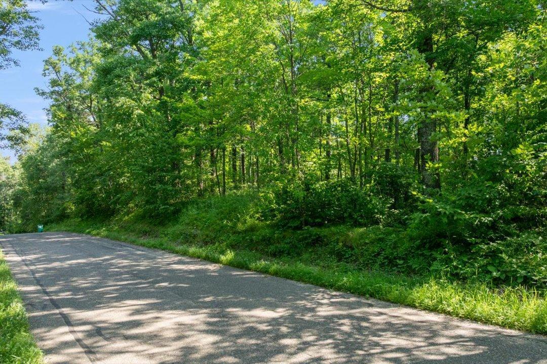land for sale at TBD W Lake Ridge Drive SW in Pillager, MN (photo 7 of 19)