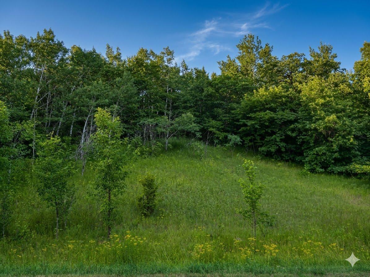 land for sale at XXX 400th Street in Waubun, MN (photo 2 of 11)
