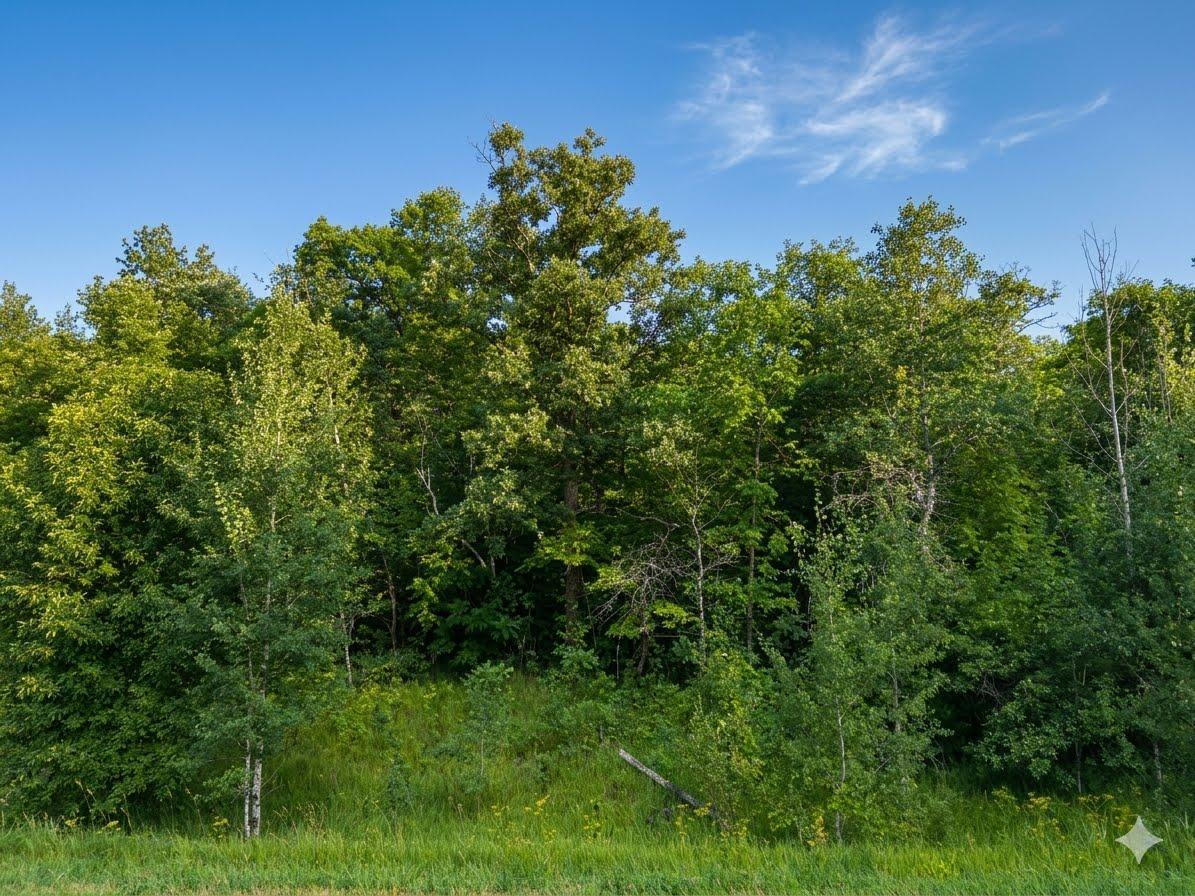 land for sale at XXX 400th Street in Waubun, MN (photo 3 of 11)