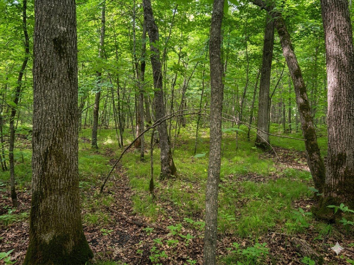 land for sale at XXX 400th Street in Waubun, MN (photo 4 of 11)