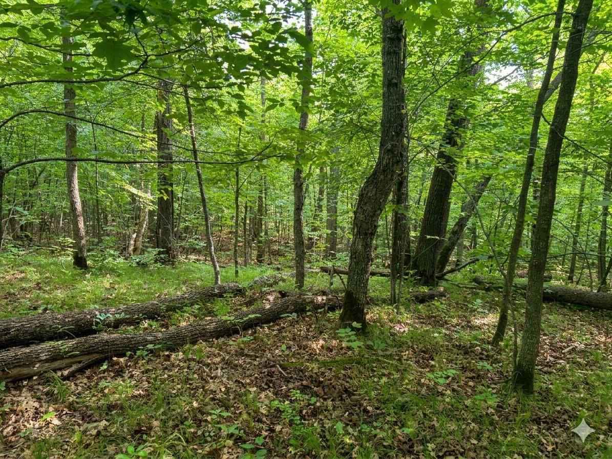 land for sale at XXX 400th Street in Waubun, MN (photo 5 of 11)