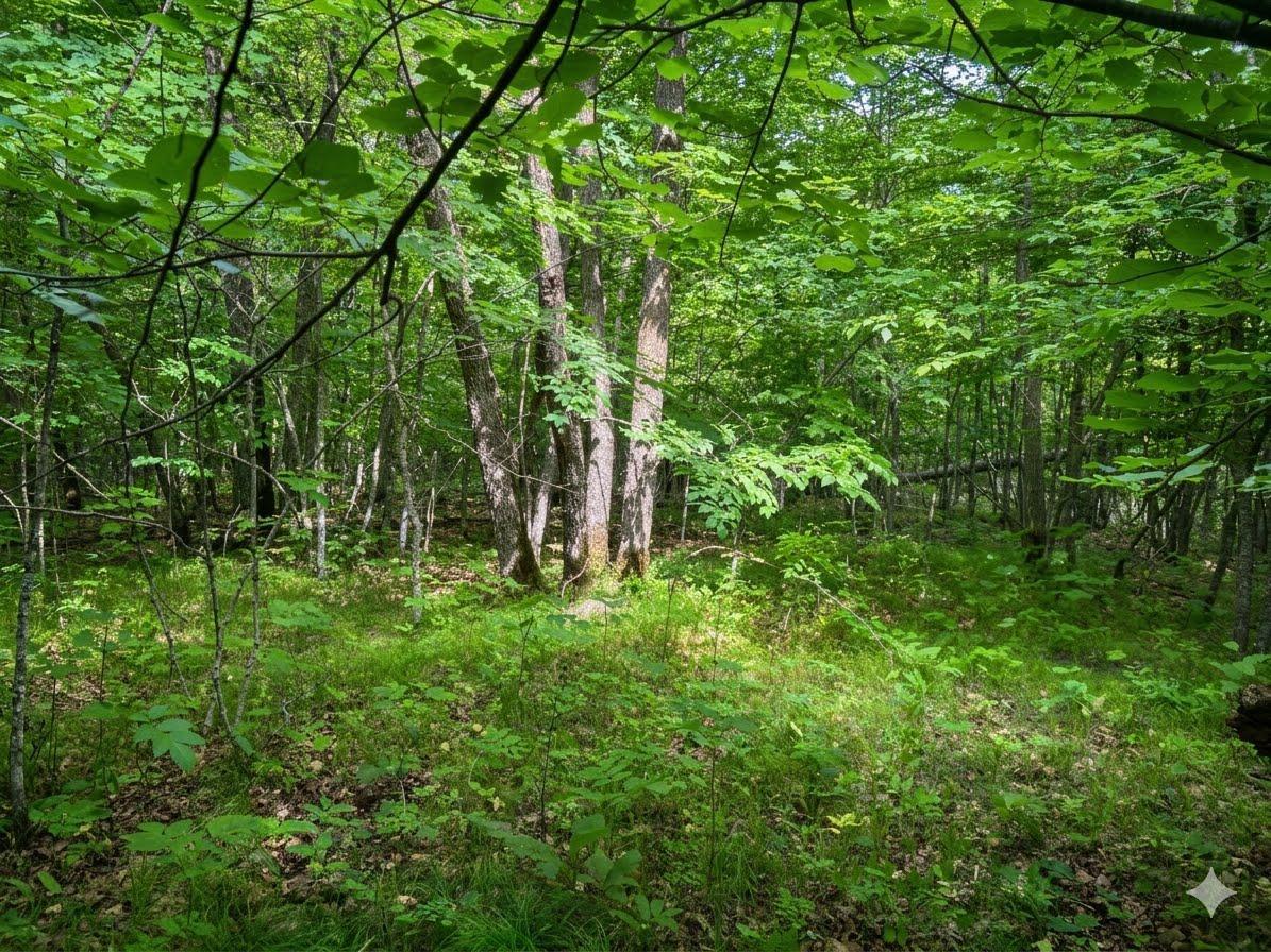 land for sale at XXX 400th Street in Waubun, MN (photo 6 of 11)