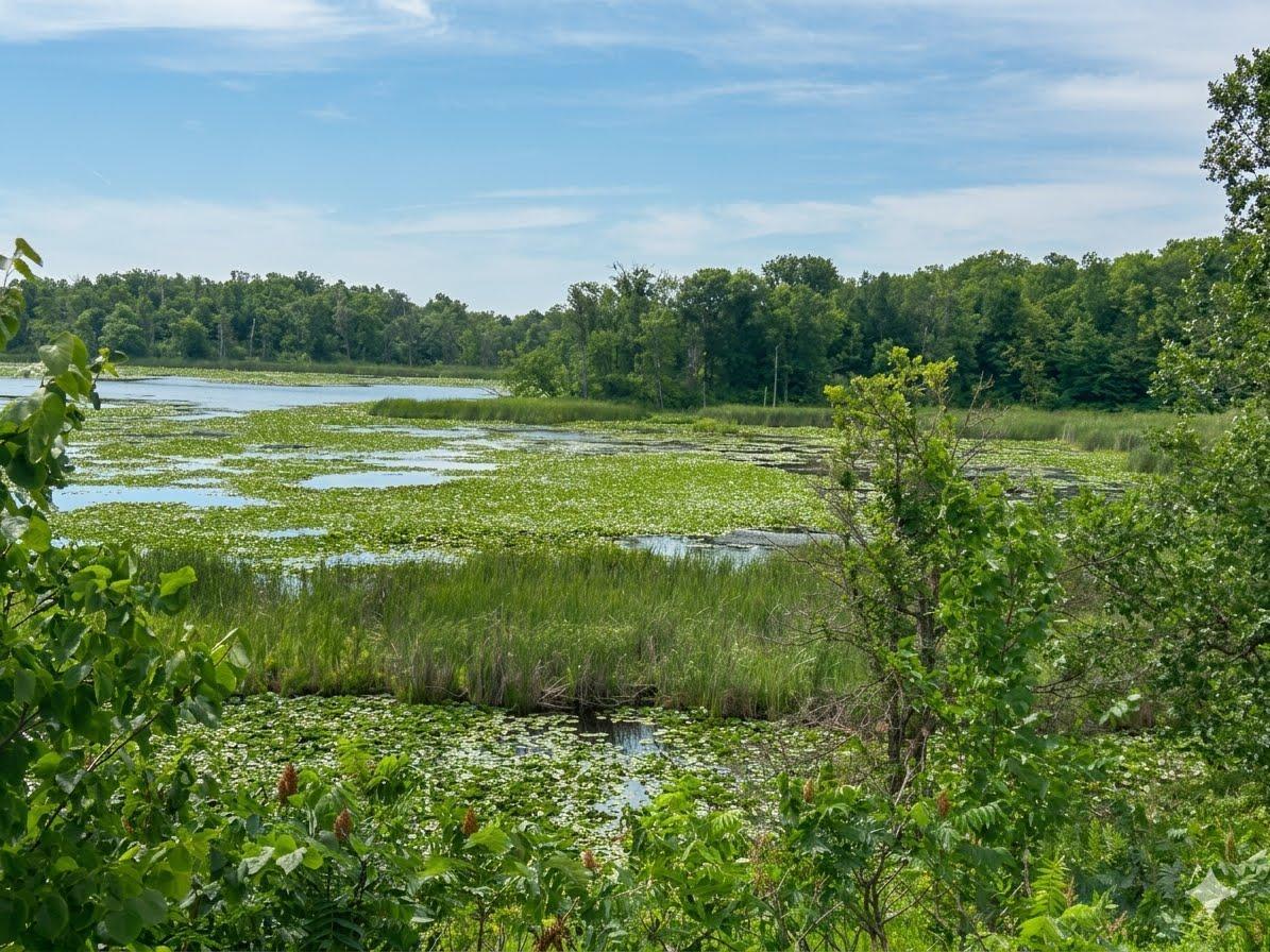 land for sale at XXX 400th Street in Waubun, MN (photo 10 of 11)