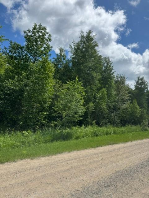 36502 County Road 129, Deer River MN 56636 - Photo 2 of 4