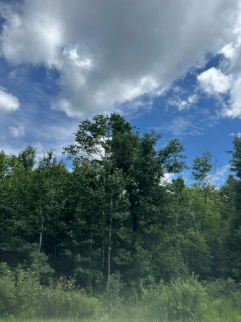 36502 County Road 129, Deer River MN 56636 - Photo 4 of 4