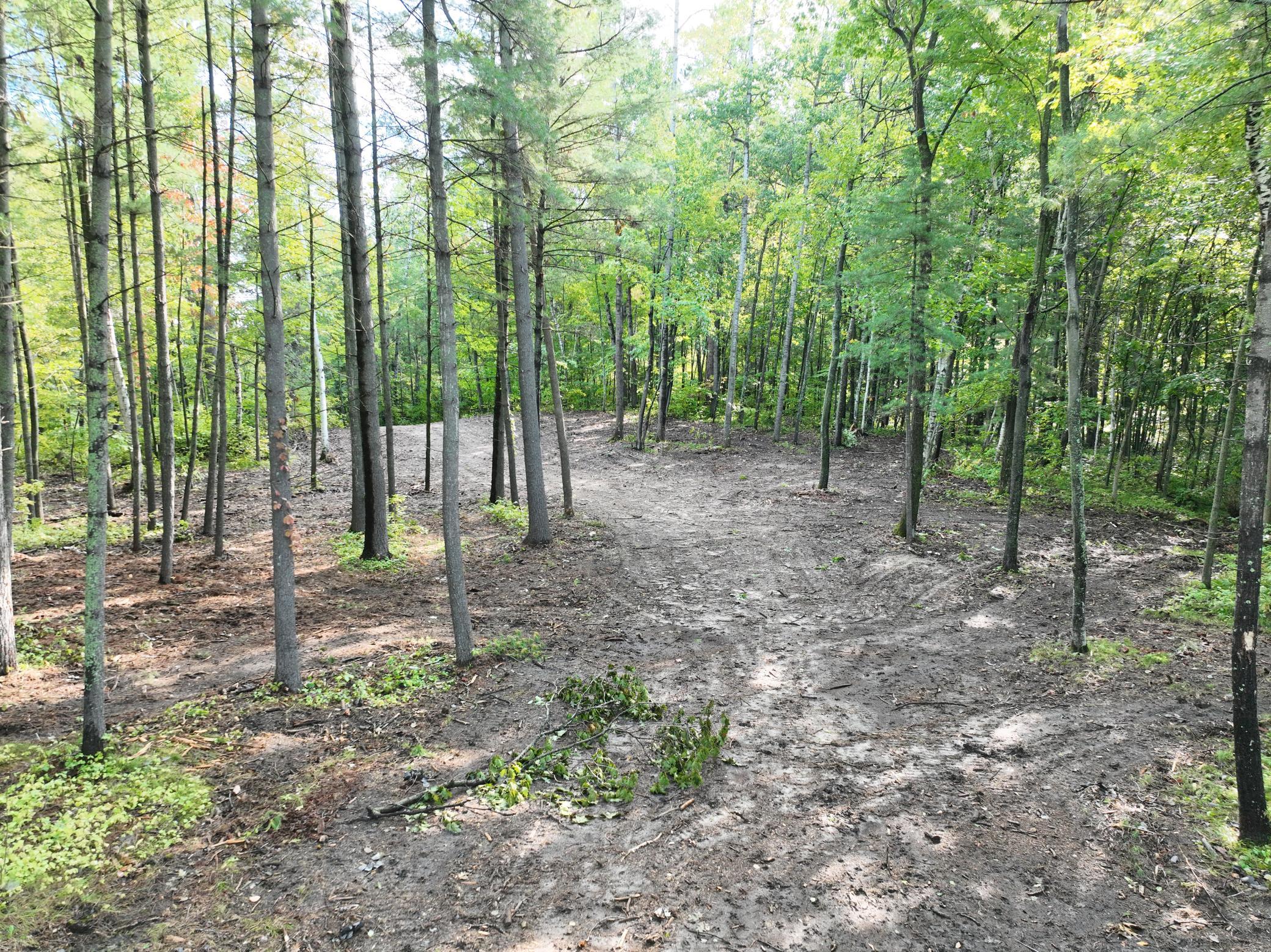 land for sale at TBD Long Lake Road NW in Akeley, MN (photo 11 of 11)