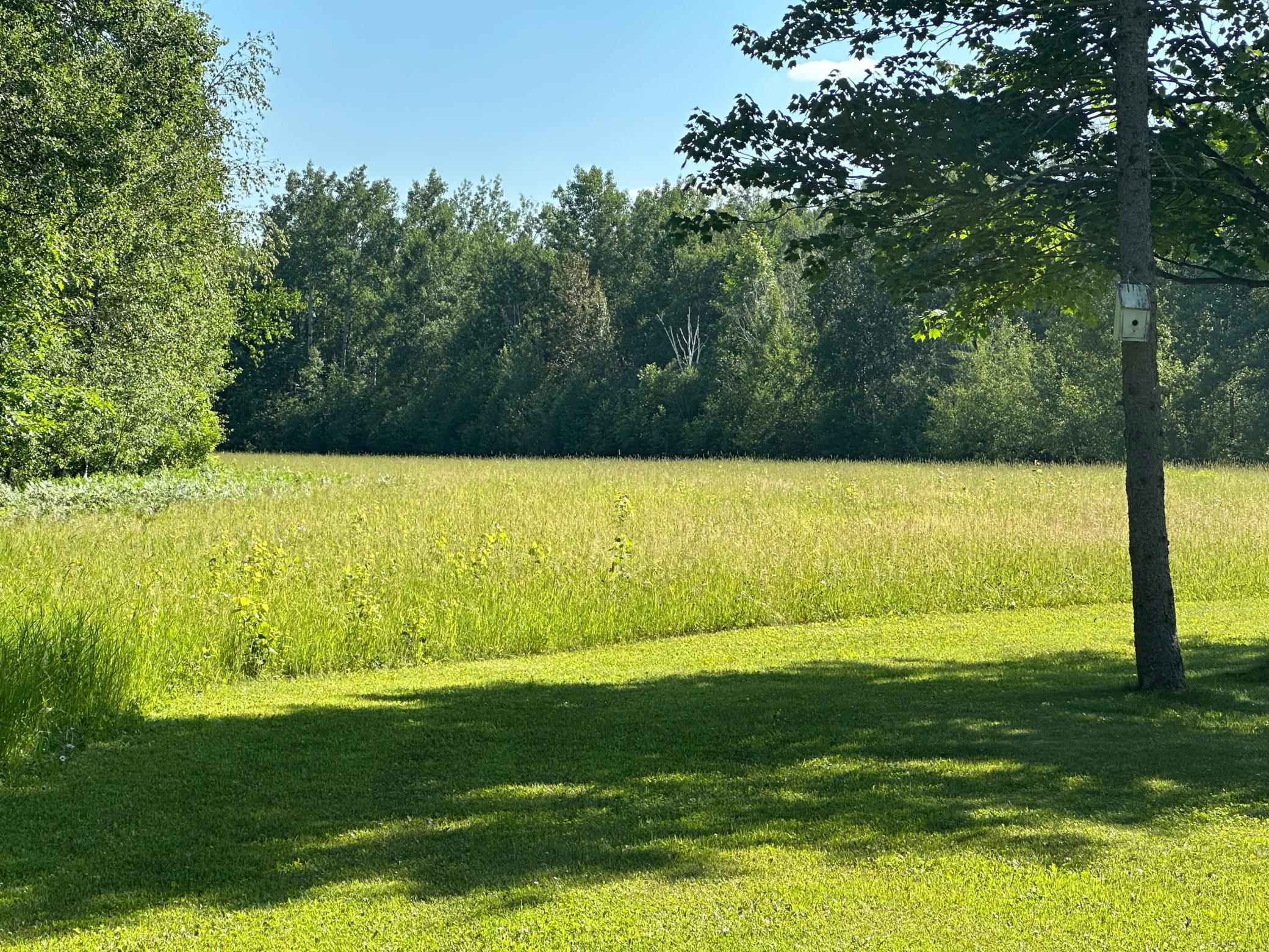 1985 single family home for sale at 38949 Nature Avenue in Aitkin, MN — 3 bed, 1 bath (photo 5 of 10)