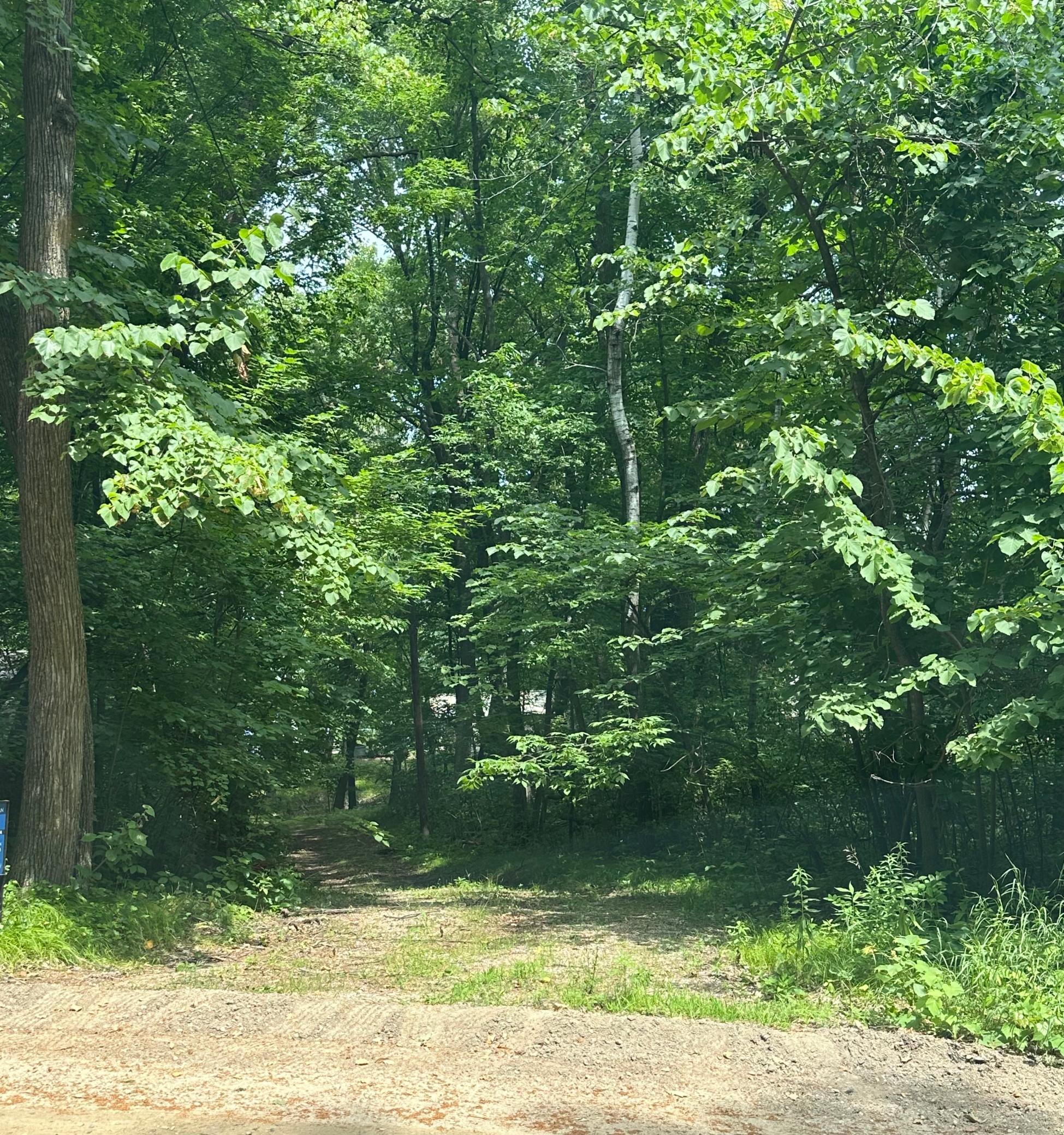 2031 Fairview Beach Road NE, Alexandria MN 56308 - Photo 11 of 11