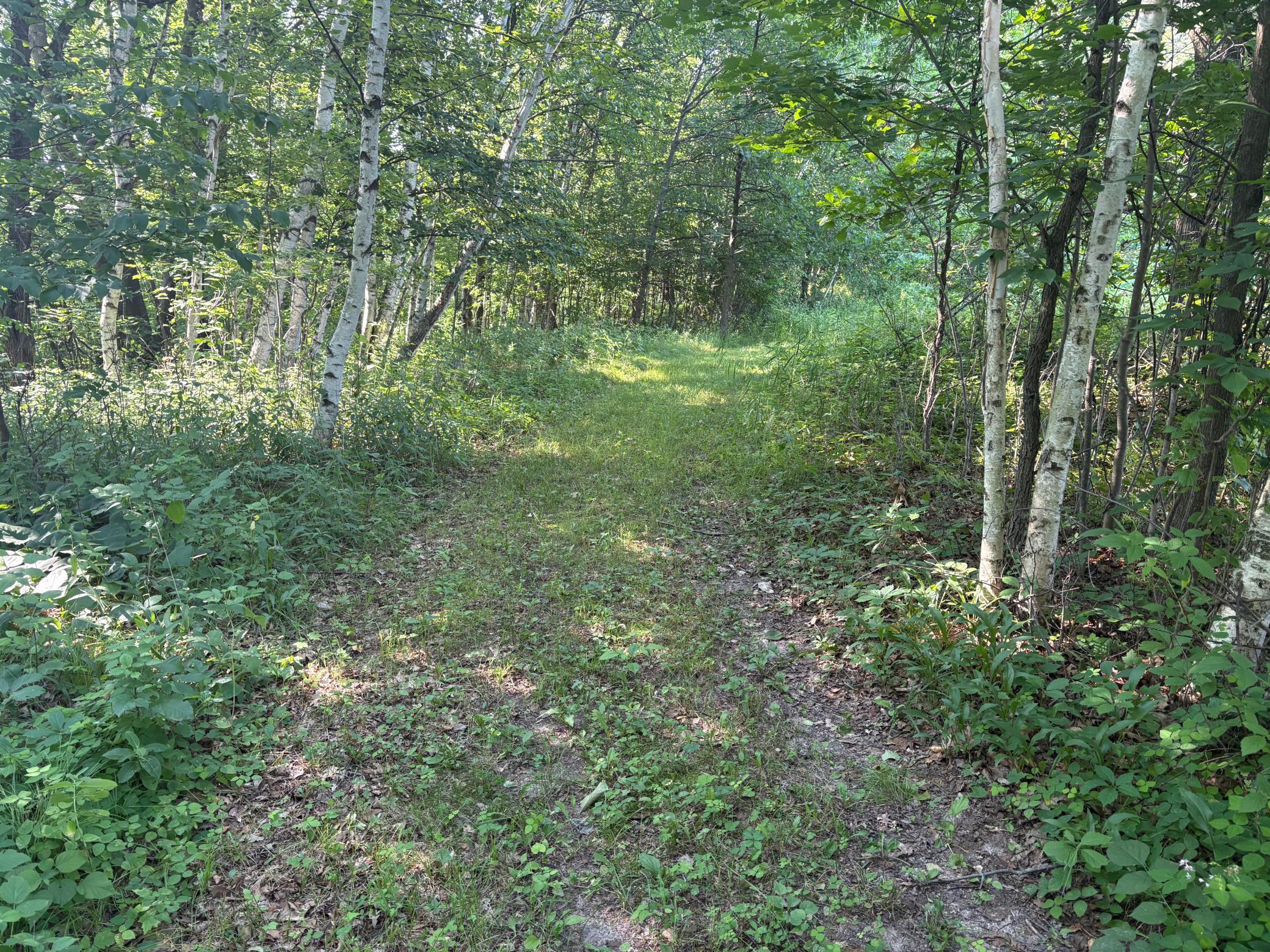 320th 320th Street, Browerville MN 56438 - Photo 4 of 33
