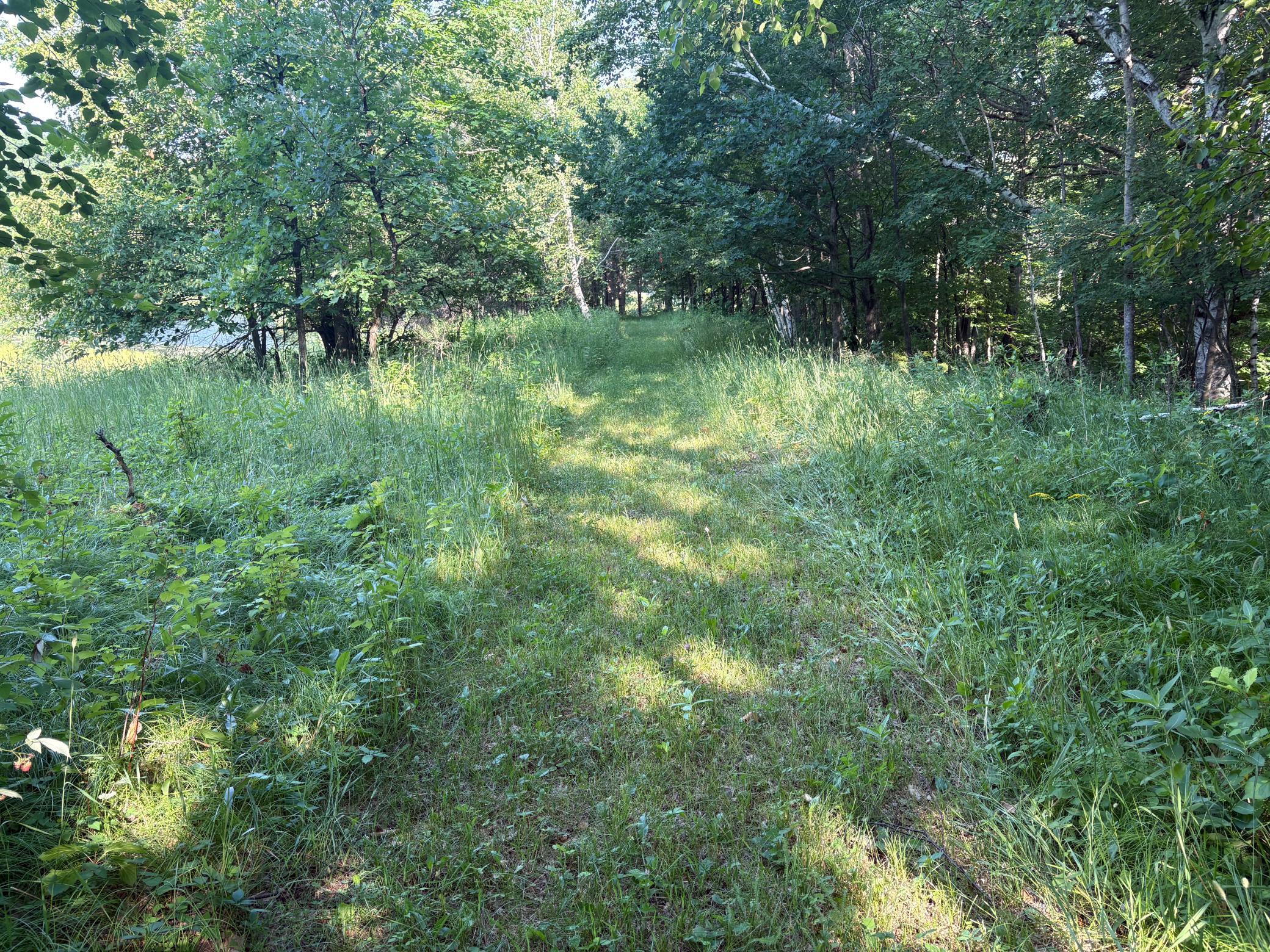 320th 320th Street, Browerville MN 56438 - Photo 6 of 33