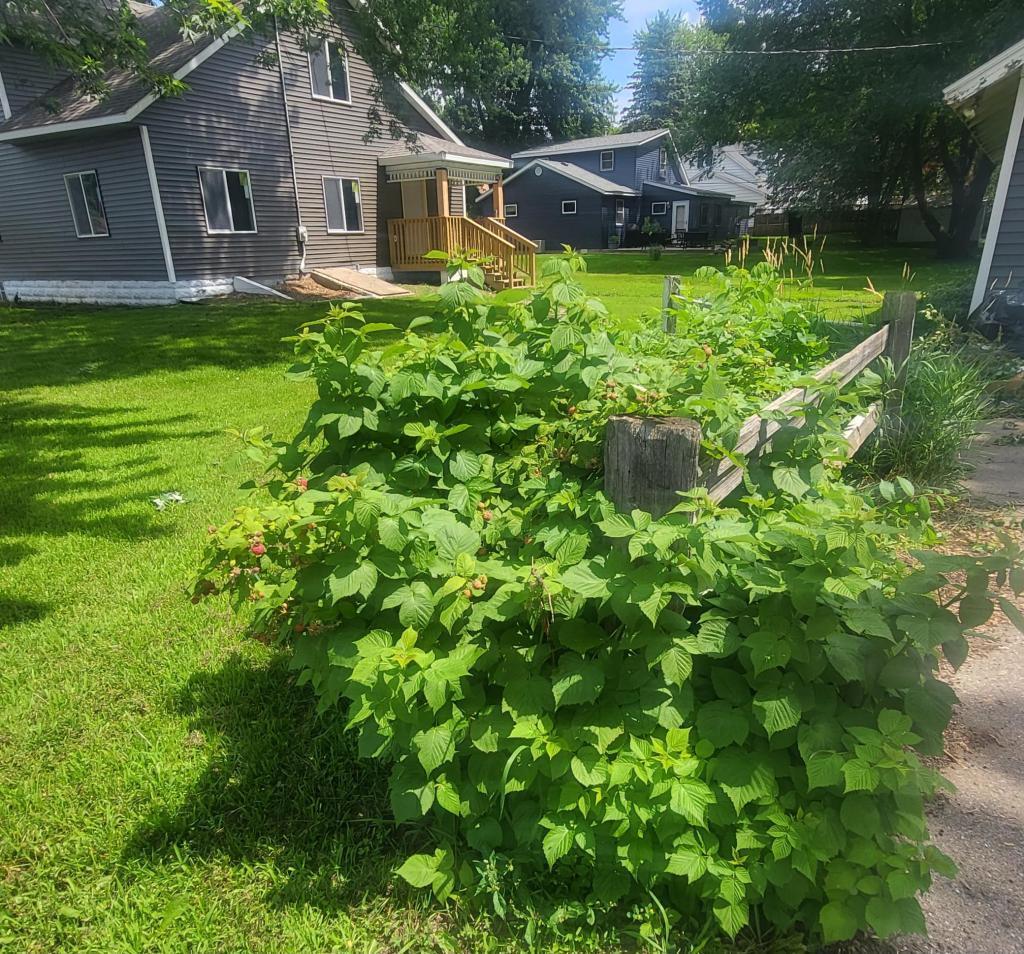 409 2nd Avenue S, Long Prairie MN 56347 - Photo 13 of 14