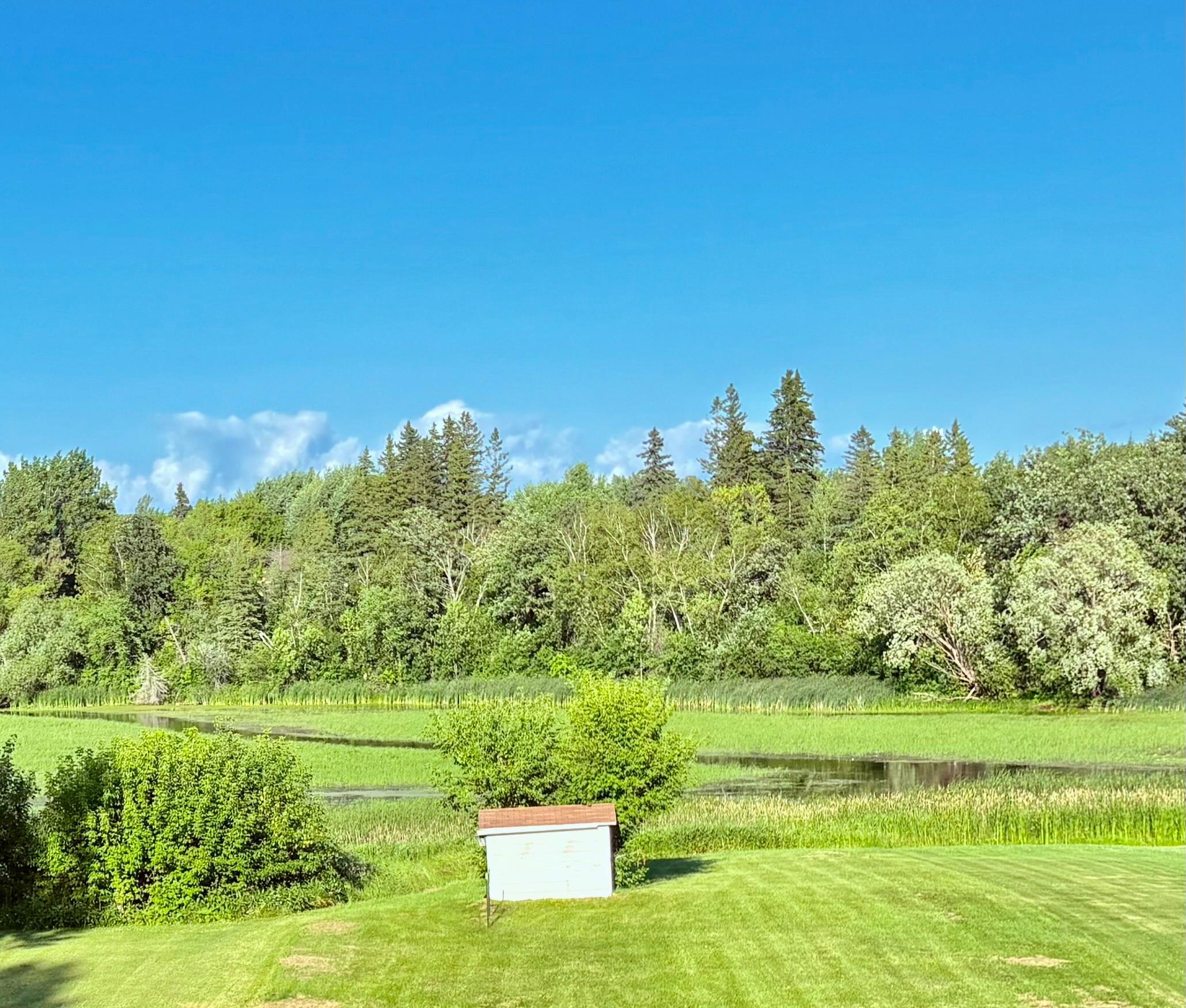 1935 single family home for sale at 502 1st Avenue SE in Baudette, MN — 5 bed, 2 bath (photo 4 of 12)