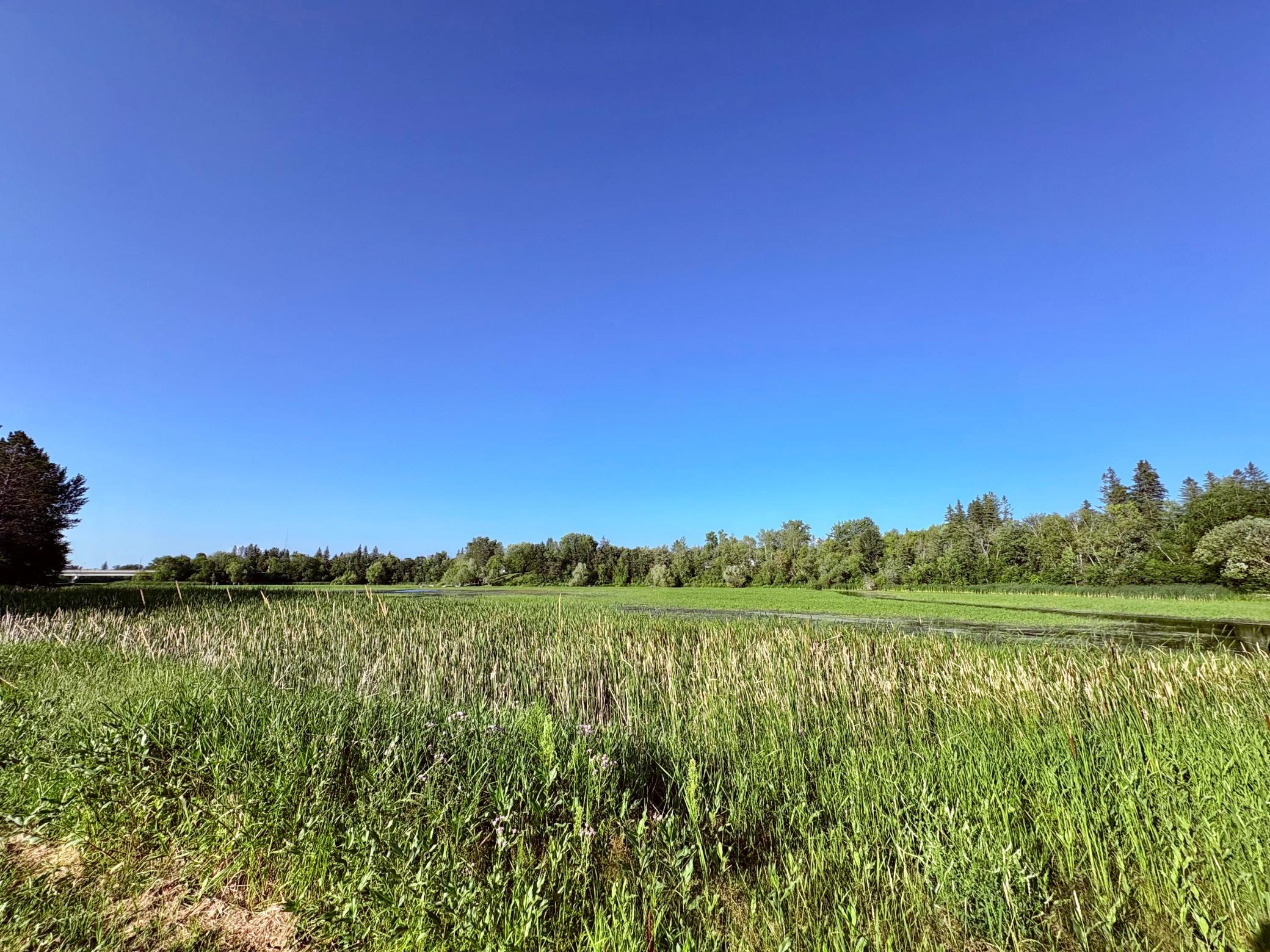 1935 single family home for sale at 502 1st Avenue SE in Baudette, MN — 5 bed, 2 bath (photo 6 of 12)