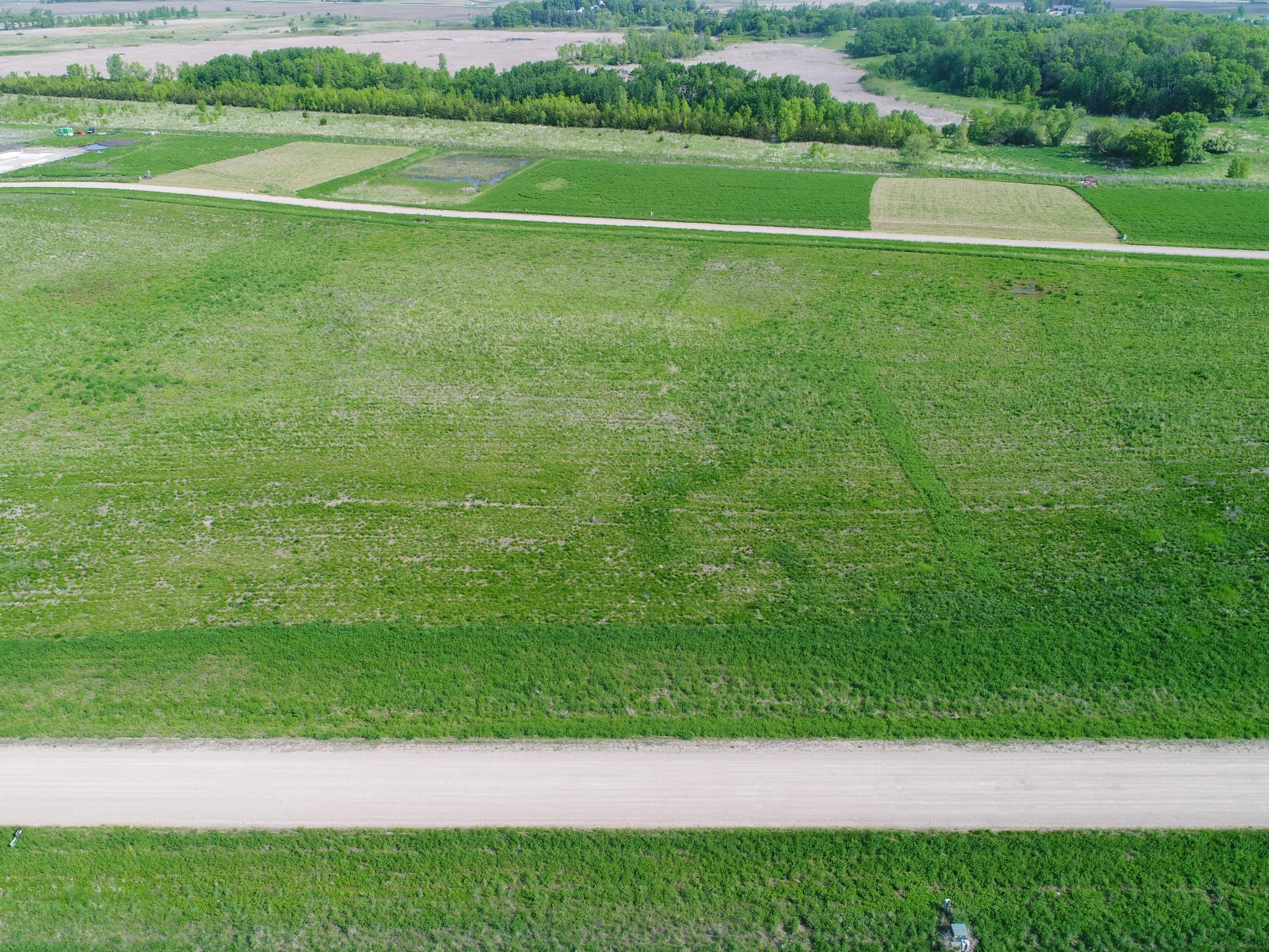 Blk 2 Lot 6 Longview Circle SE, Osakis MN 56360 - Photo 2 of 14