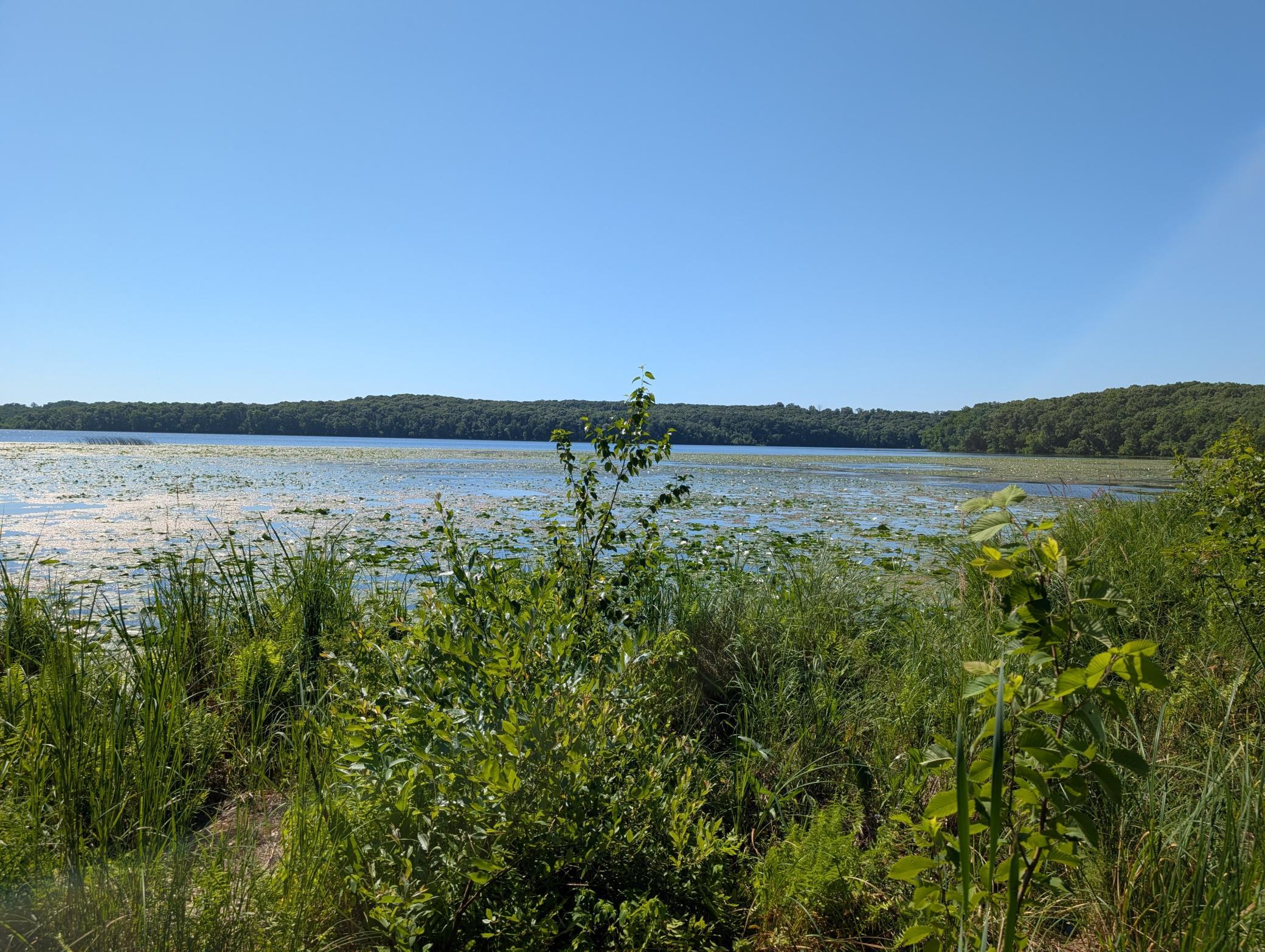 3223 Sebie Lake Road, Fort Ripley MN 56449 - Photo 12 of 16