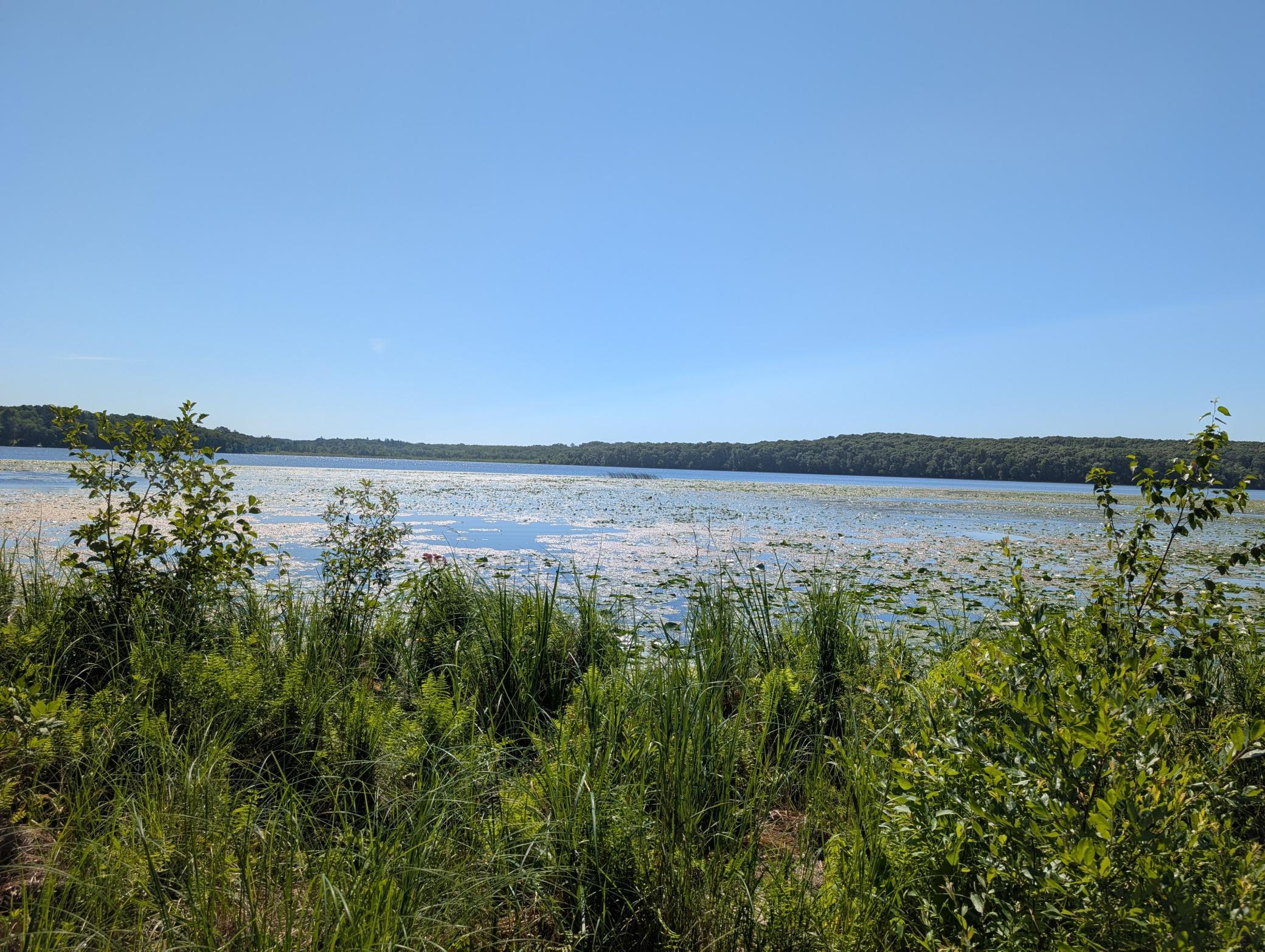 3223 Sebie Lake Road, Fort Ripley MN 56449 - Photo 13 of 16