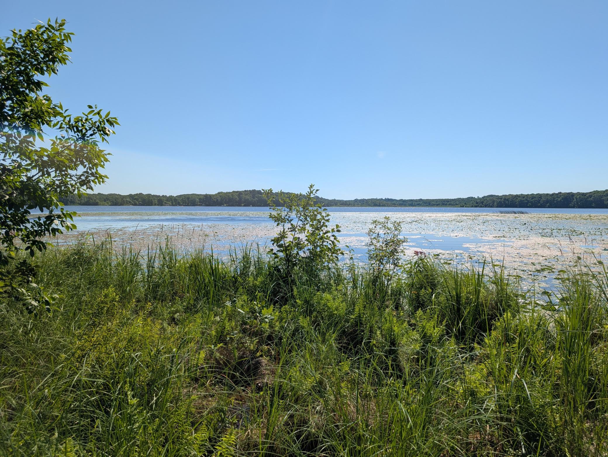 3223 Sebie Lake Road, Fort Ripley MN 56449 - Photo 14 of 16
