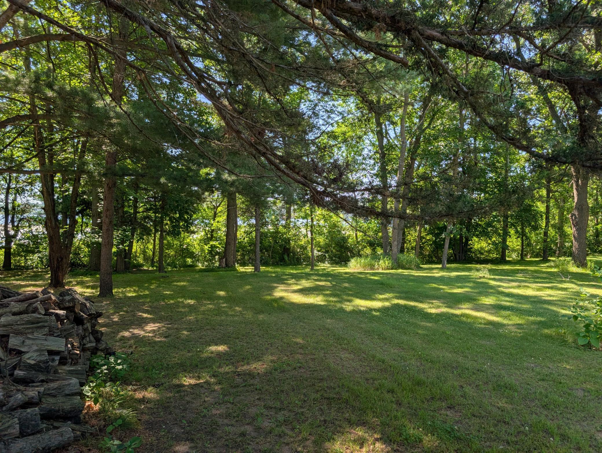 3223 Sebie Lake Road, Fort Ripley MN 56449 - Photo 6 of 16