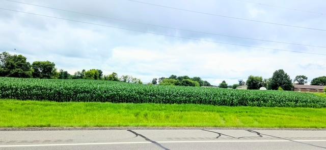 land for sale at 398 E Pike Street in Osakis, MN (photo 3 of 8)