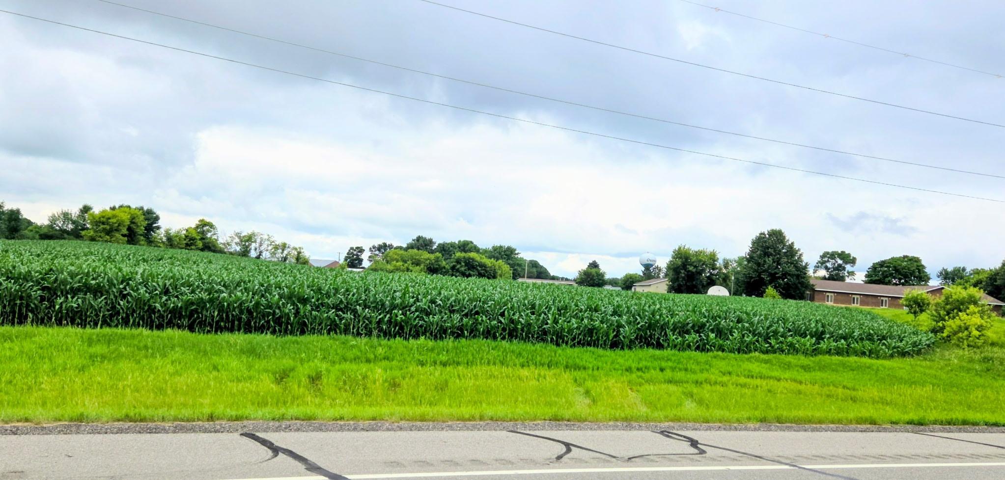 land for sale at 398 E Pike Street in Osakis, MN (photo 4 of 8)