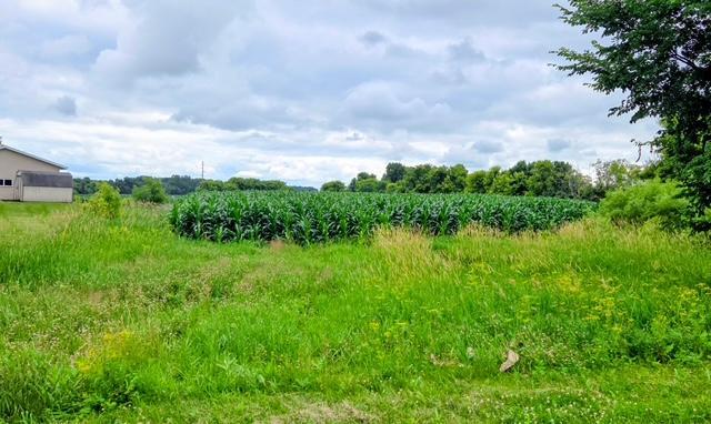 land for sale at 398 E Pike Street in Osakis, MN (photo 5 of 8)