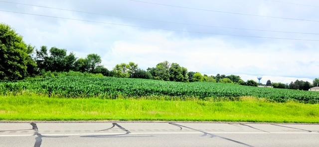 land for sale at 398 E Pike Street in Osakis, MN (photo 8 of 8)