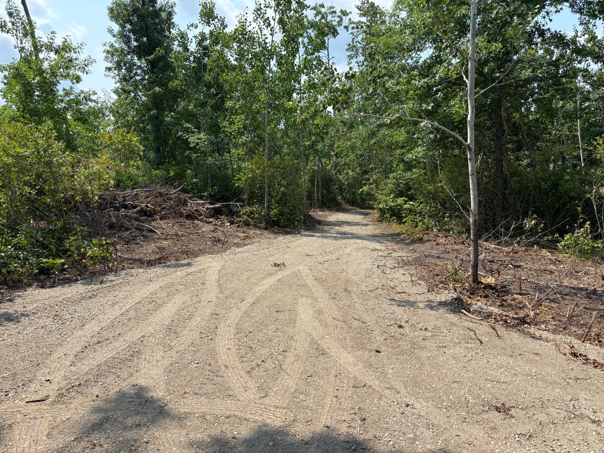 TBD Woodland Hills Drive SE, Bemidji MN 56601 - Photo 2 of 18