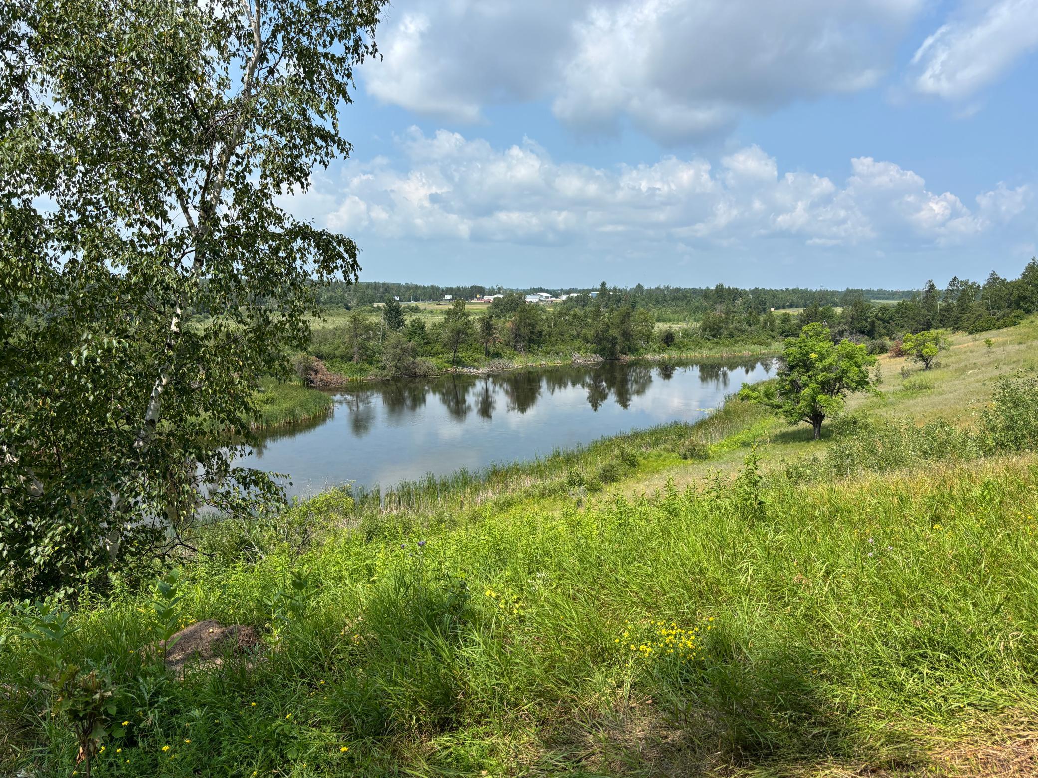TBD Woodland Hills Drive SE, Bemidji MN 56601 - Photo 12 of 18
