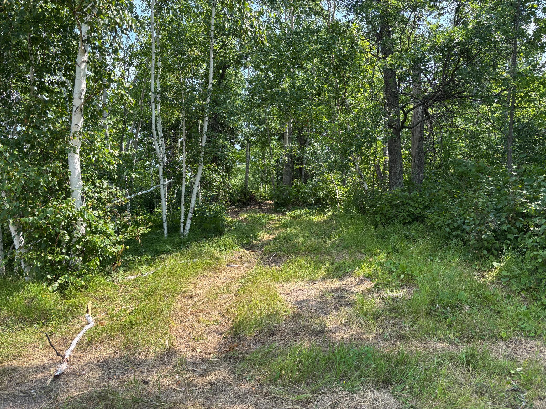 TBD Woodland Hills Drive SE, Bemidji MN 56601 - Photo 13 of 18
