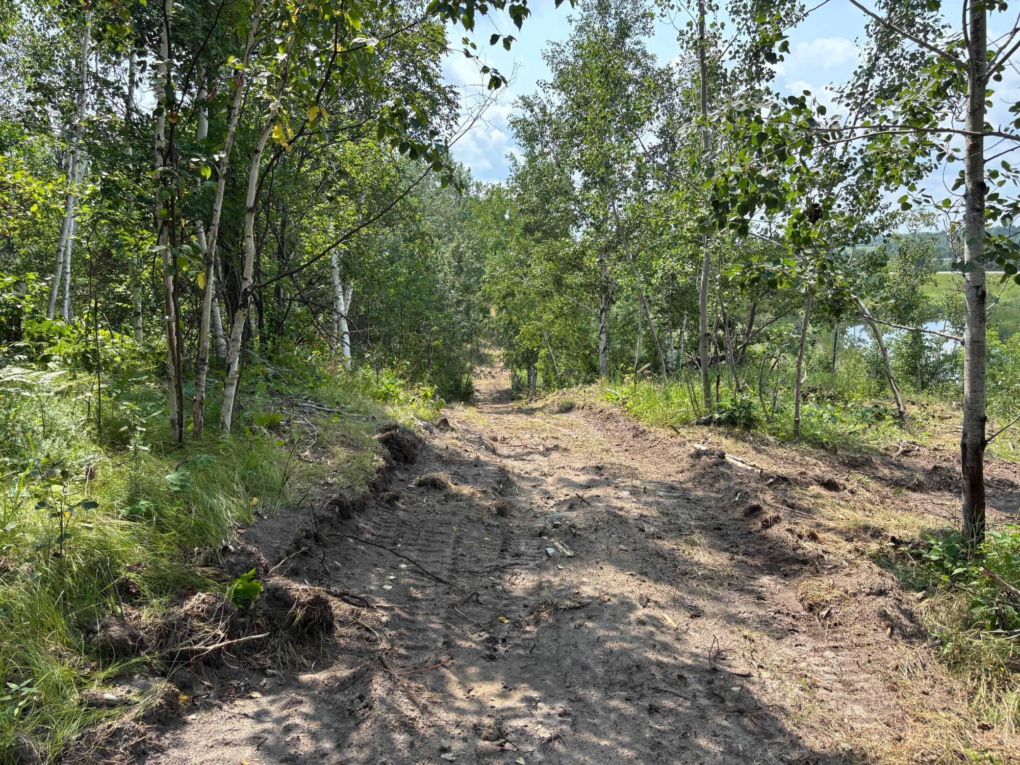 TBD Woodland Hills Drive SE, Bemidji MN 56601 - Photo 14 of 18