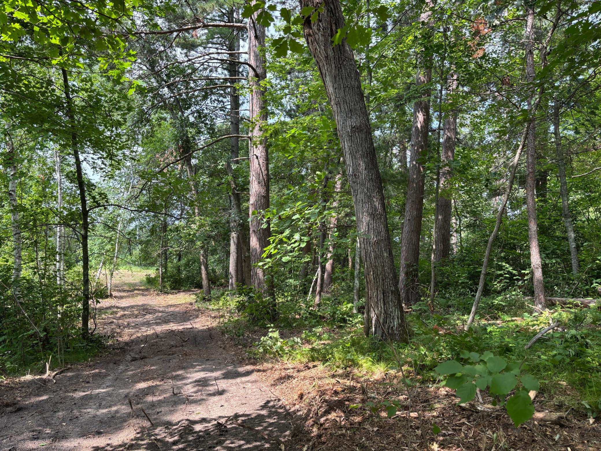 TBD Woodland Hills Drive SE, Bemidji MN 56601 - Photo 17 of 18