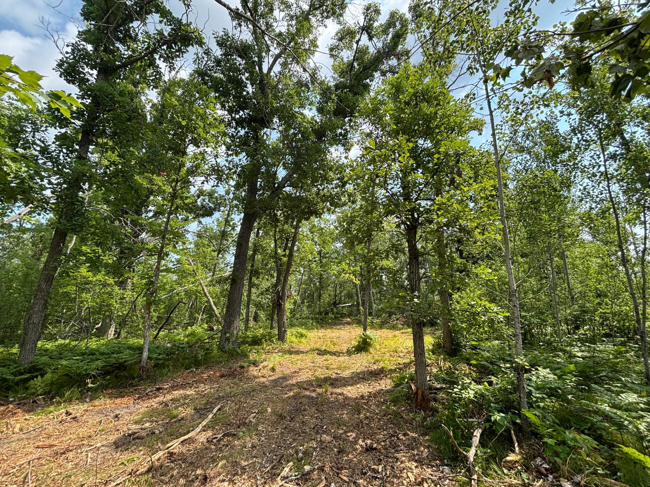 TBD Woodland Hills Drive SE, Bemidji MN 56601 - Photo 18 of 18