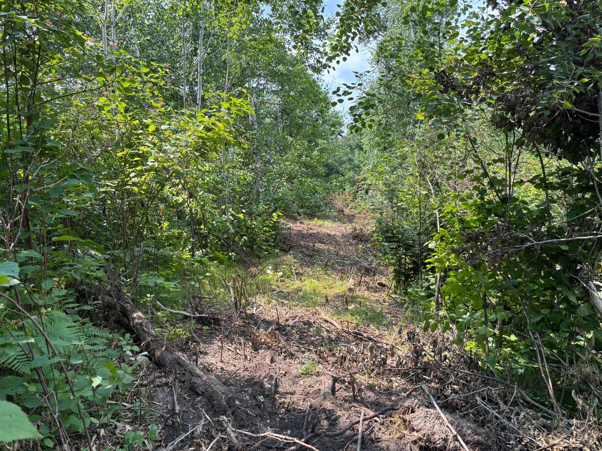 TBD Woodland Hills Drive SE, Bemidji MN 56601 - Photo 3 of 18