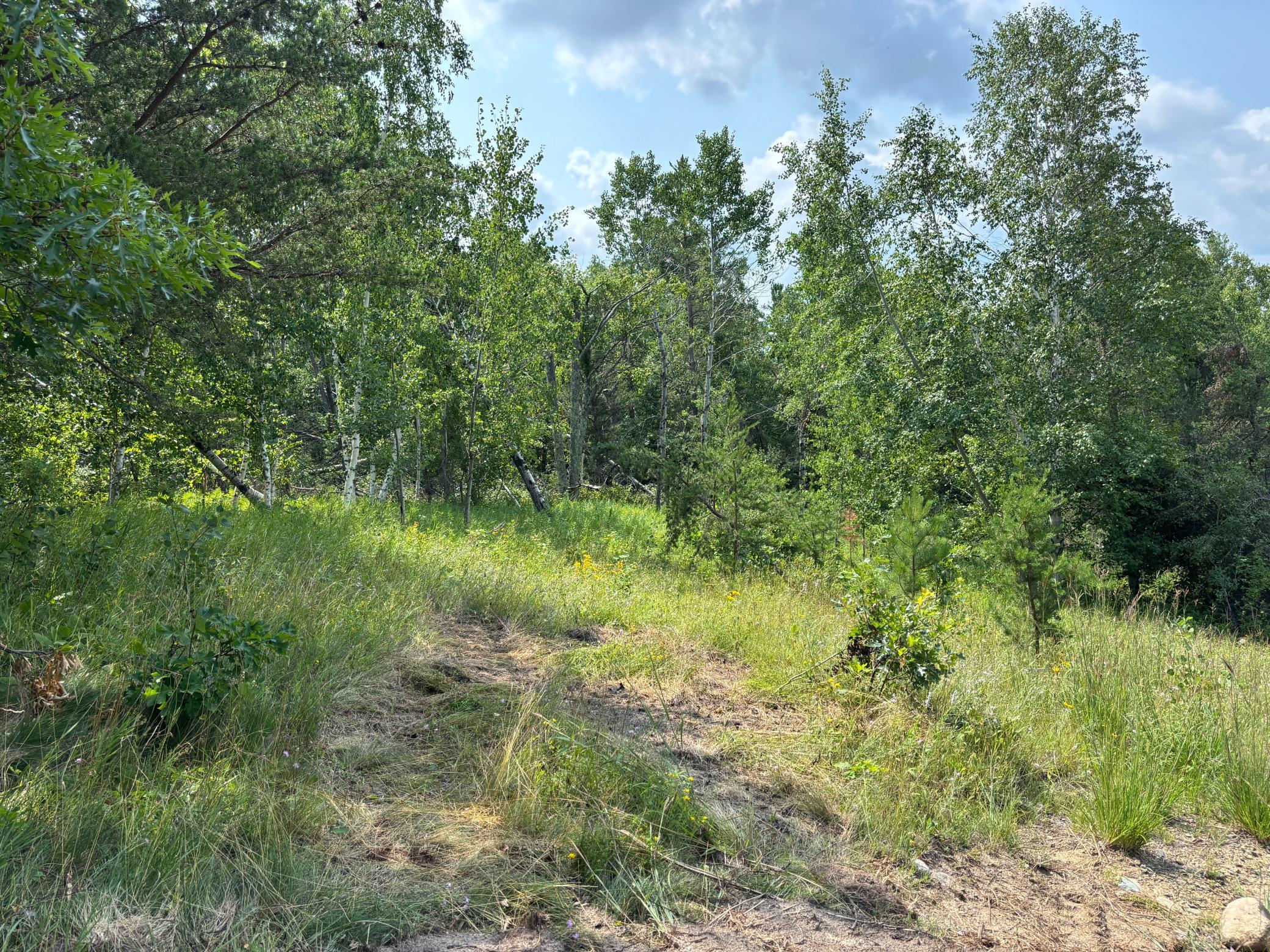 TBD Woodland Hills Drive SE, Bemidji MN 56601 - Photo 4 of 18