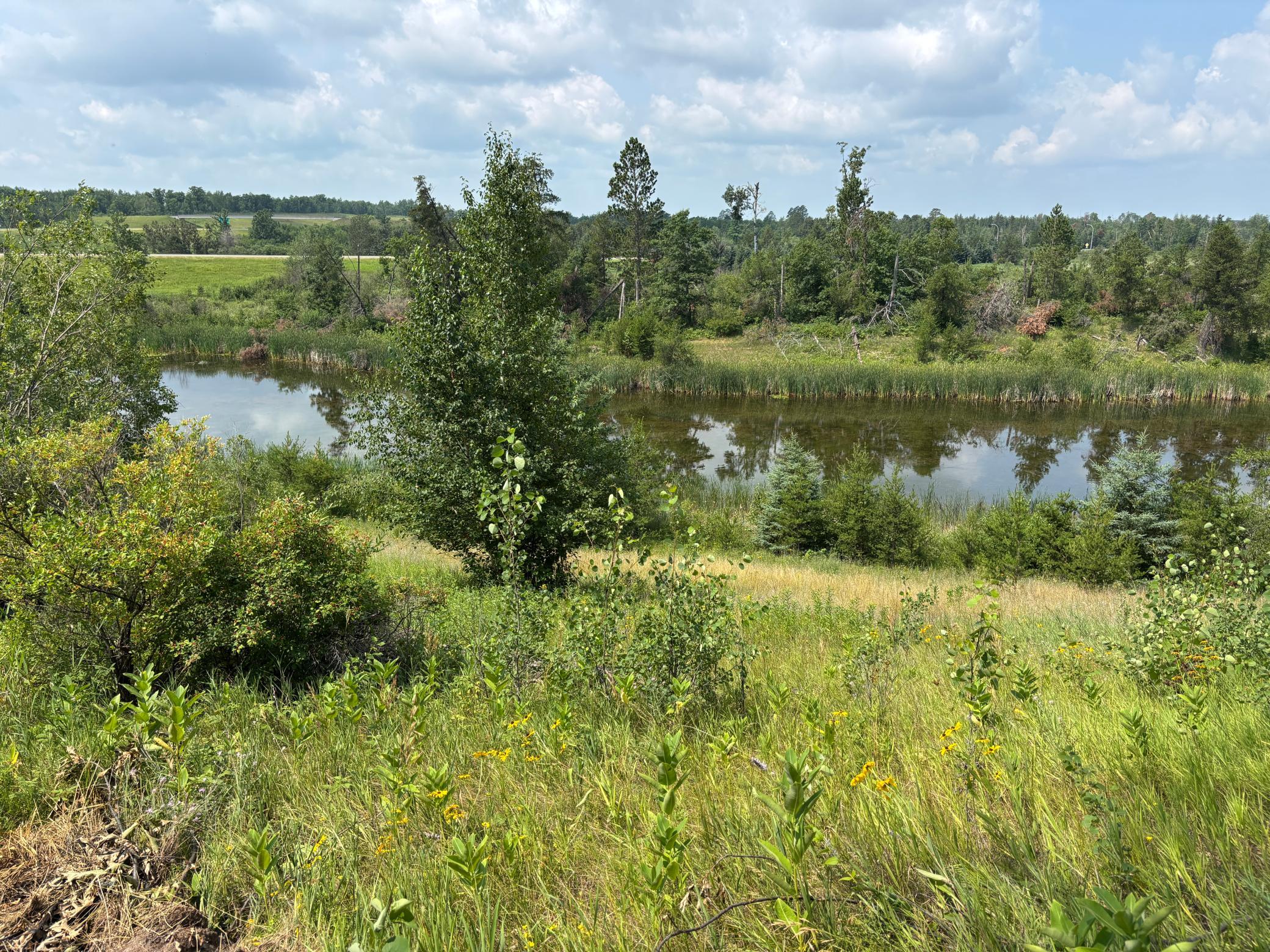 TBD Woodland Hills Drive SE, Bemidji MN 56601 - Photo 7 of 18