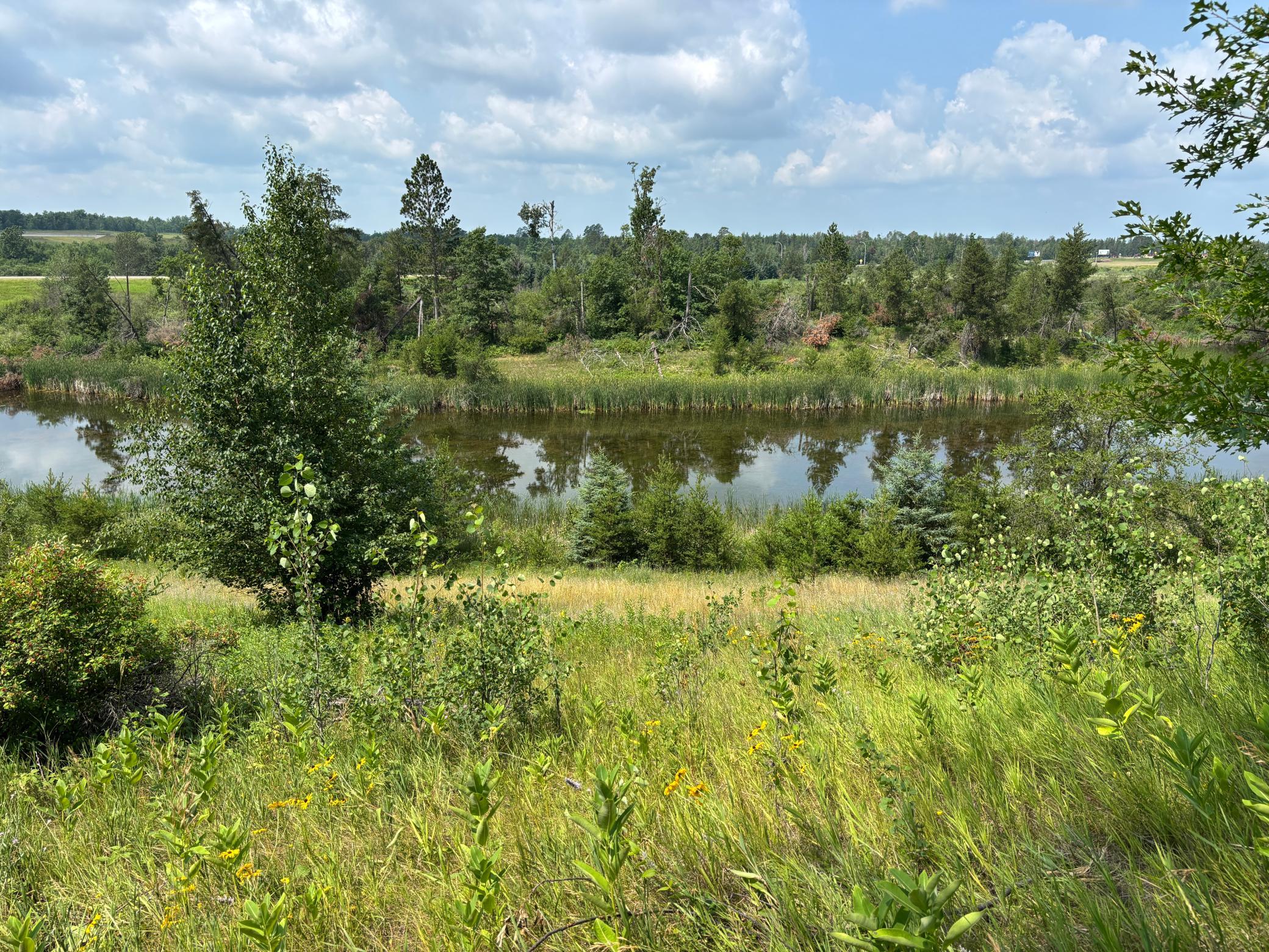 TBD Woodland Hills Drive SE, Bemidji MN 56601 - Photo 8 of 18