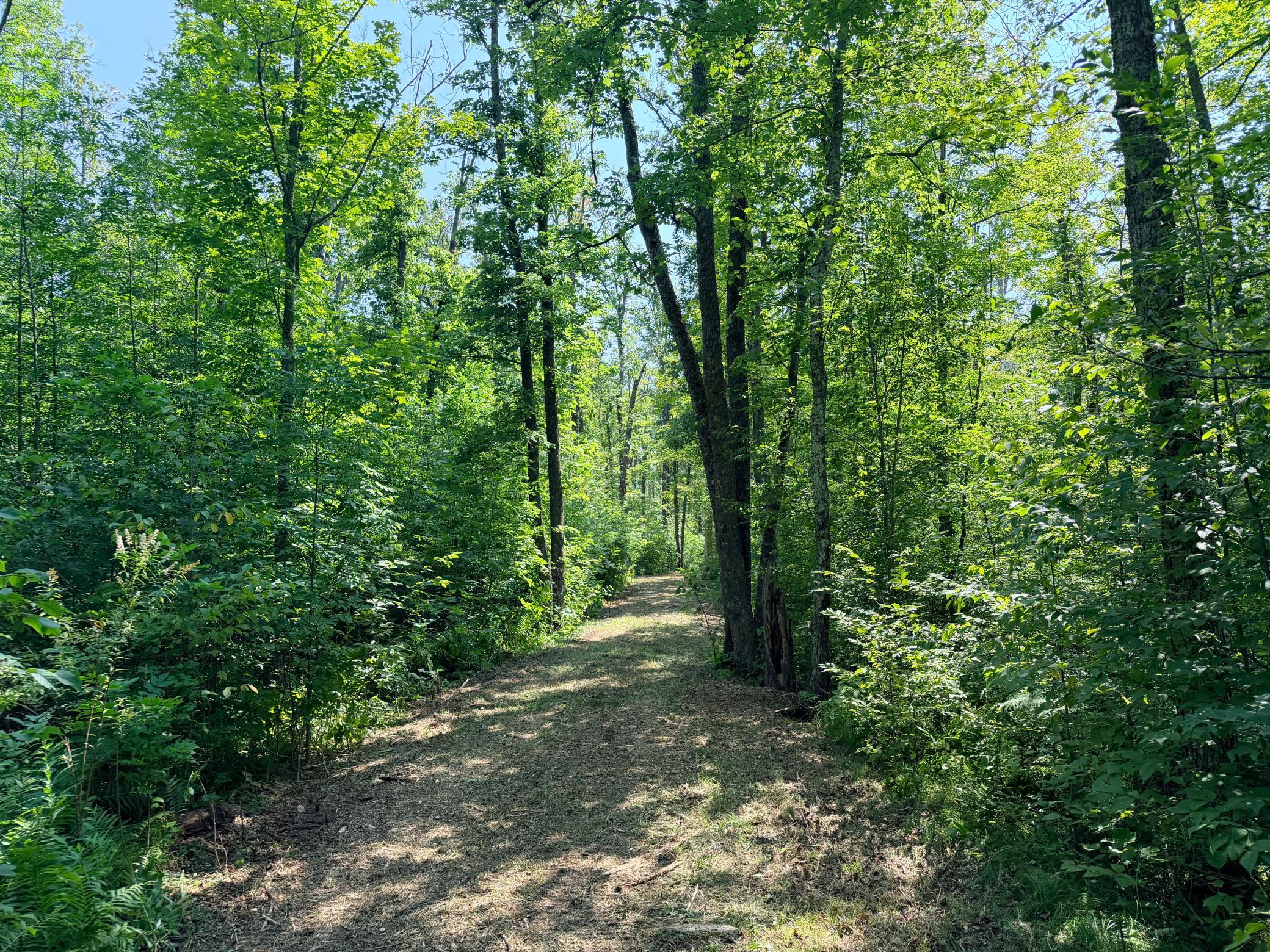 23637 561st Lane, McGregor MN 55760 - Photo 11 of 83