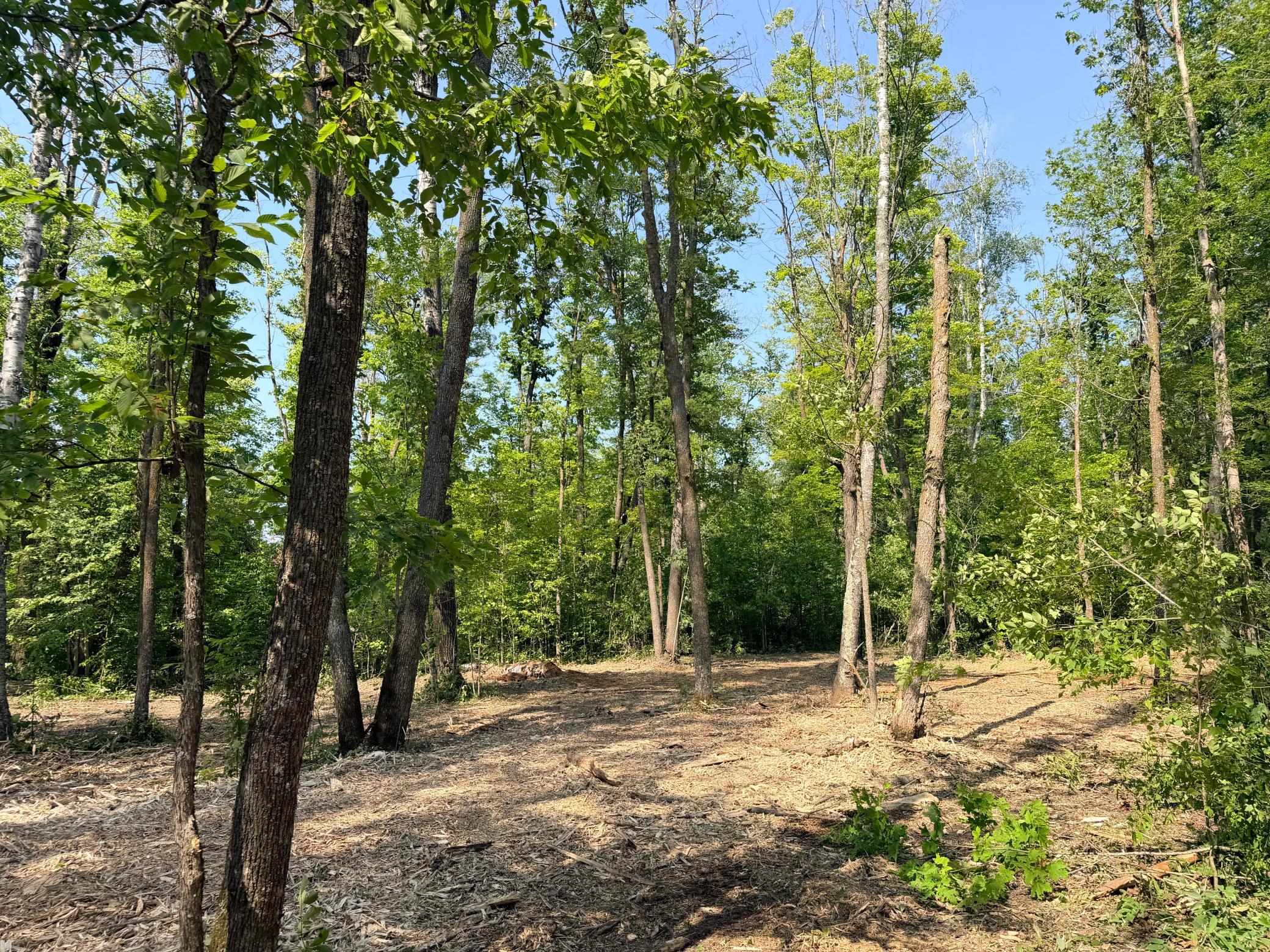 23637 561st Lane, McGregor MN 55760 - Photo 18 of 83