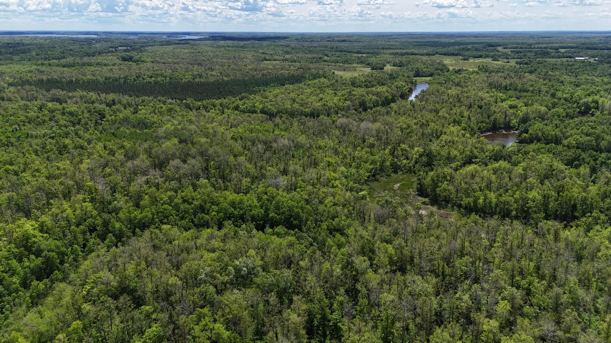 23637 561st Lane, McGregor MN 55760 - Photo 49 of 83
