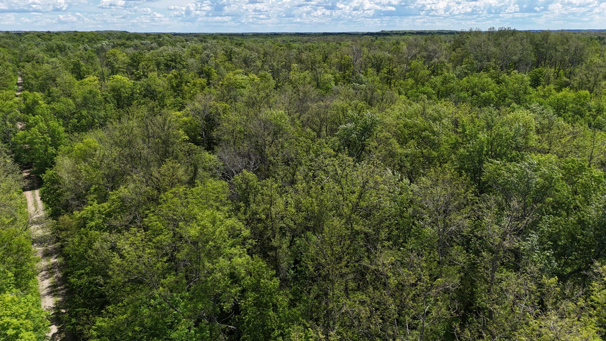 23637 561st Lane, McGregor MN 55760 - Photo 50 of 83