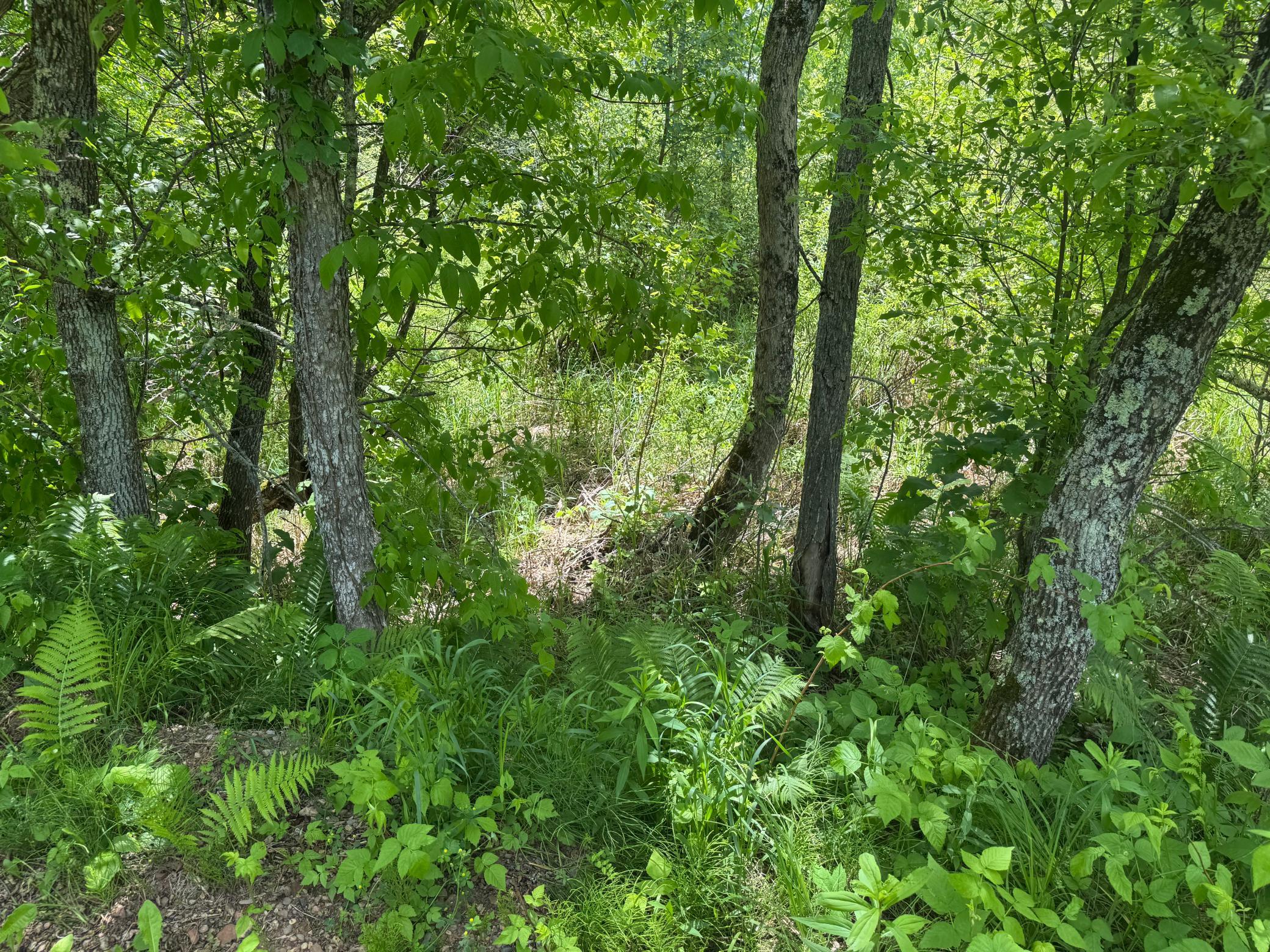 23637 561st Lane, McGregor MN 55760 - Photo 57 of 83