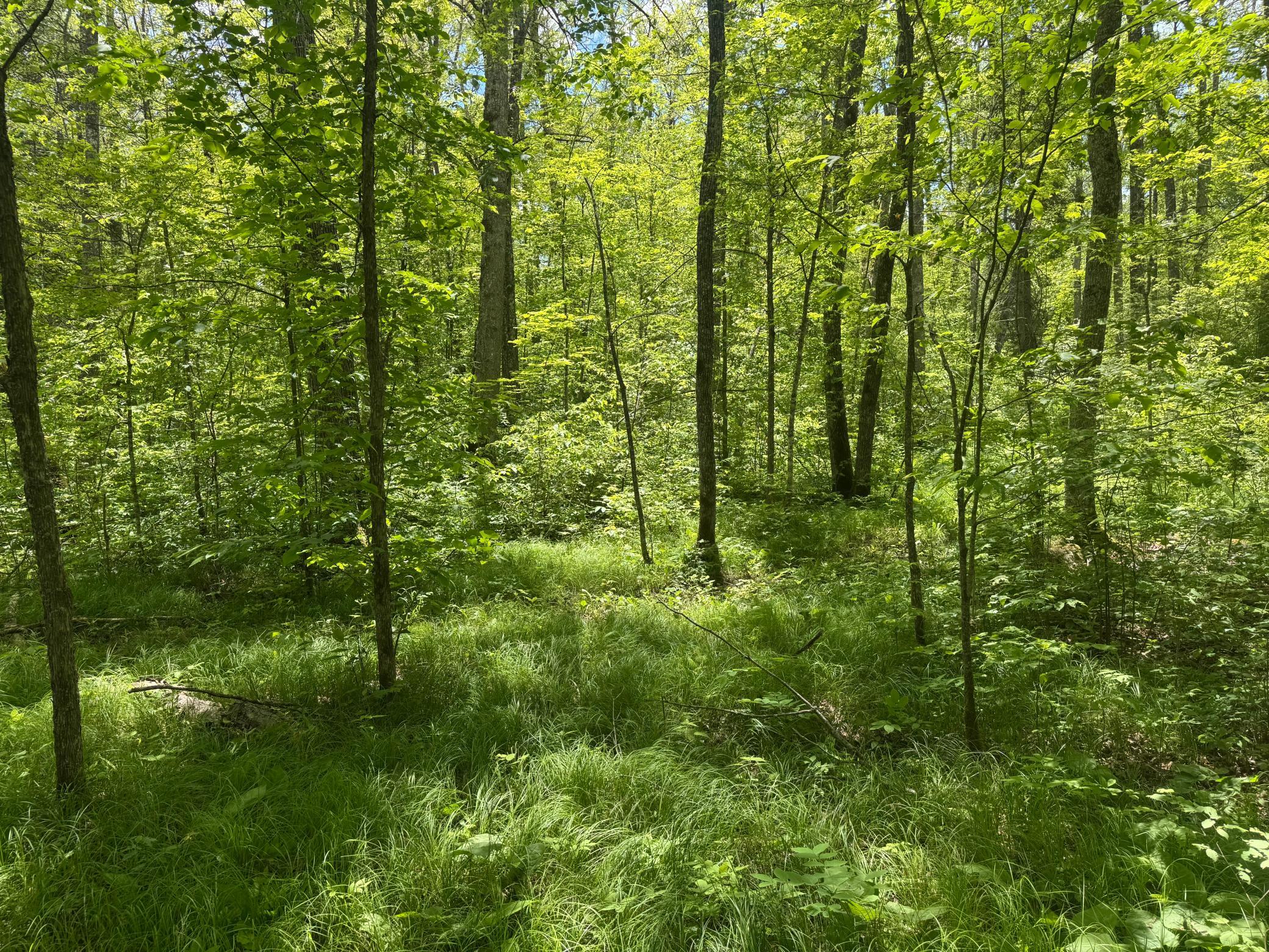 23637 561st Lane, McGregor MN 55760 - Photo 71 of 83