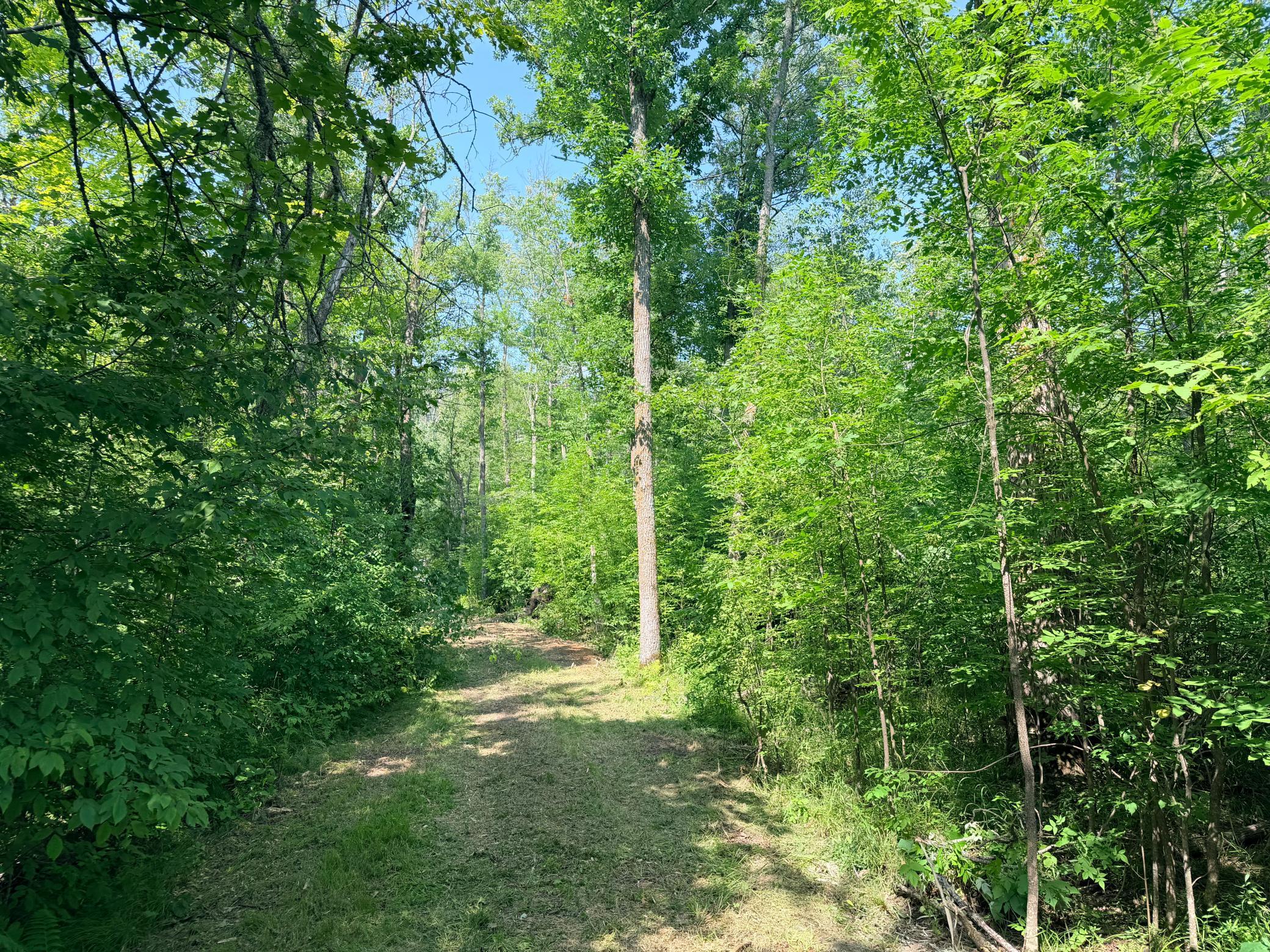 23637 561st Lane, McGregor MN 55760 - Photo 10 of 83