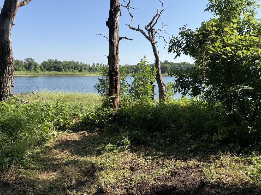 TBD 460th Avenue, Perham MN 56573 - Photo 11 of 12