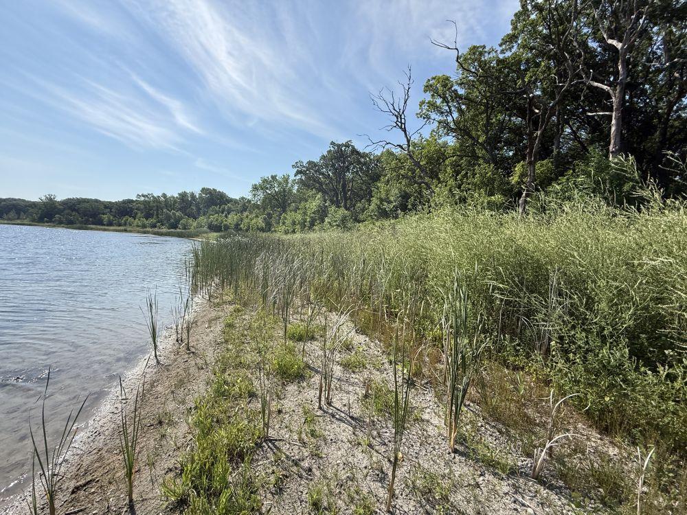 TBD 460th Avenue, Perham MN 56573 - Photo 10 of 12