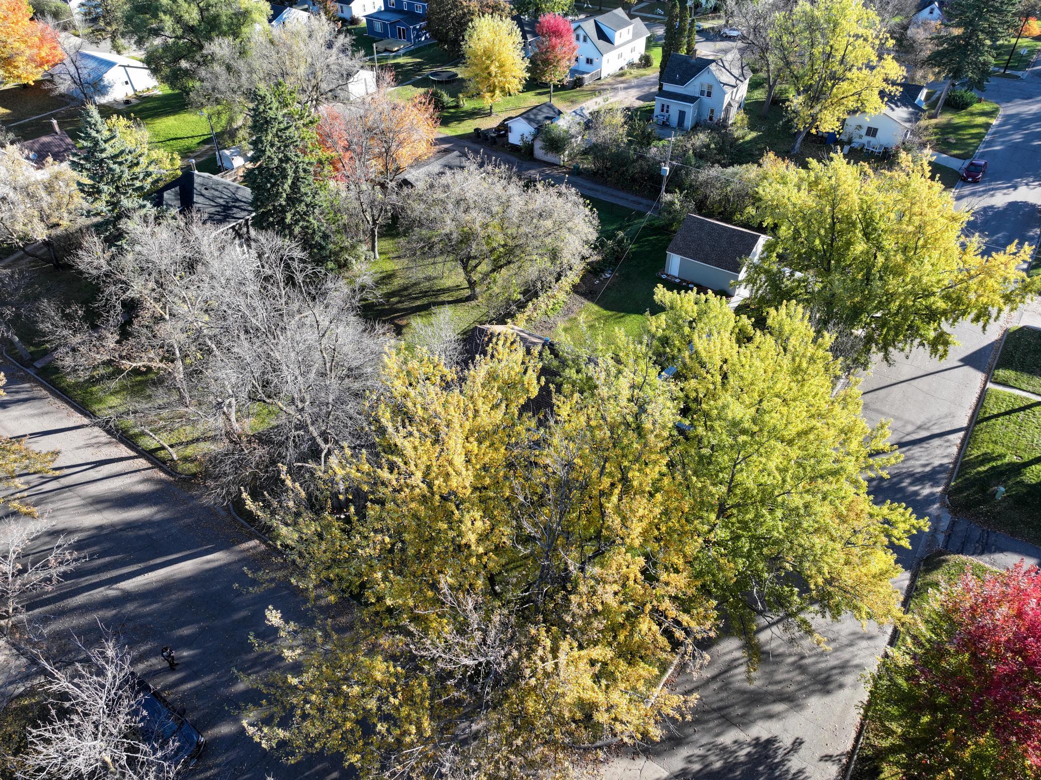 1947 single family home for sale at 1019 Ash Street in Alexandria, MN — 3 bed, 2 bath (photo 45 of 86)