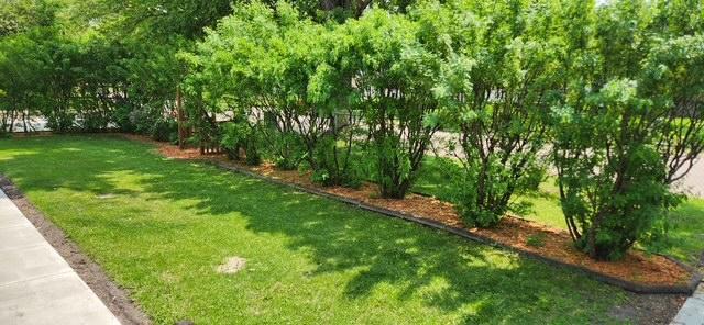 1947 single family home for sale at 1019 Ash Street in Alexandria, MN — 3 bed, 2 bath (photo 54 of 86)