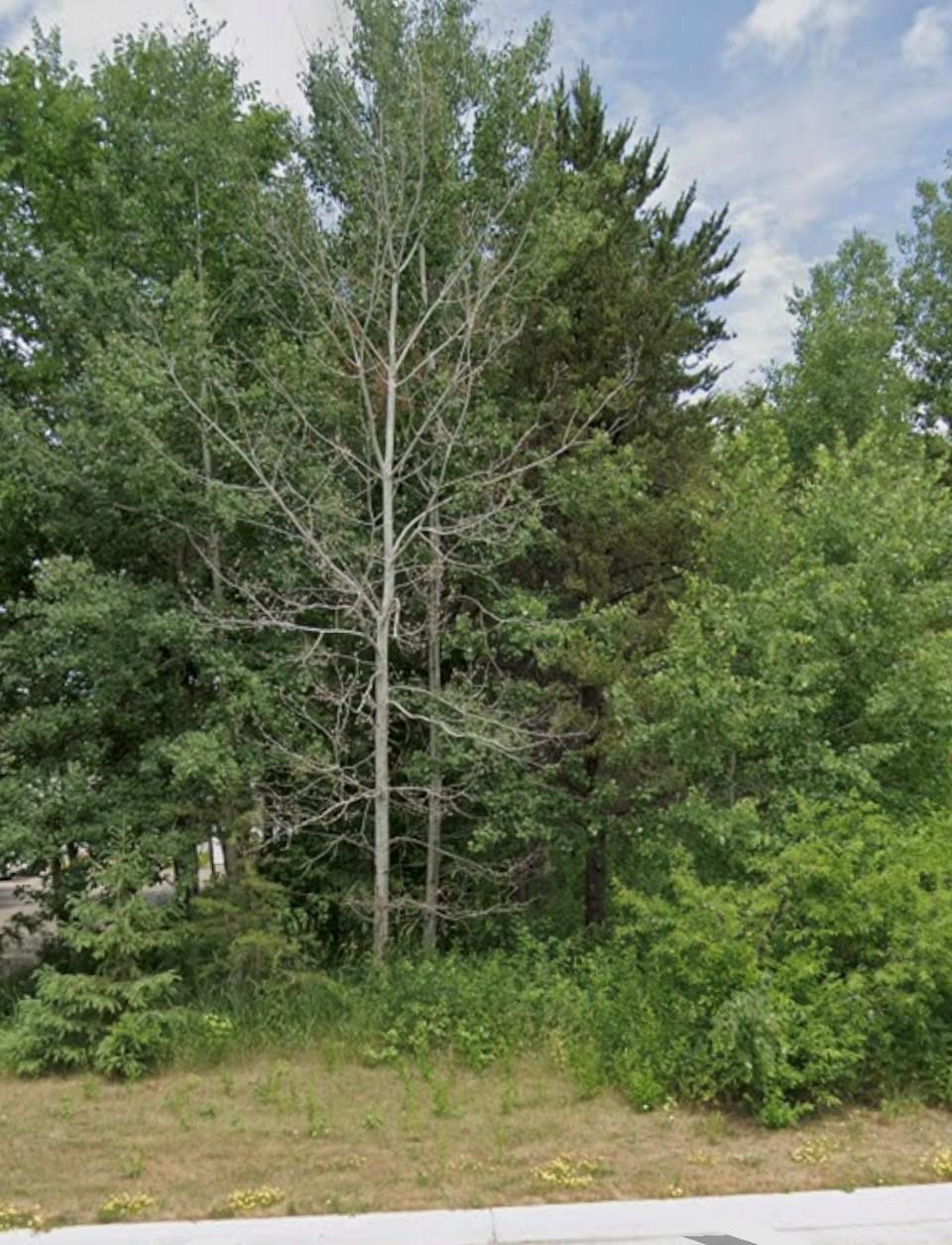 land for sale at Lot 15 Pine Street in Brainerd, MN (photo 2 of 4)
