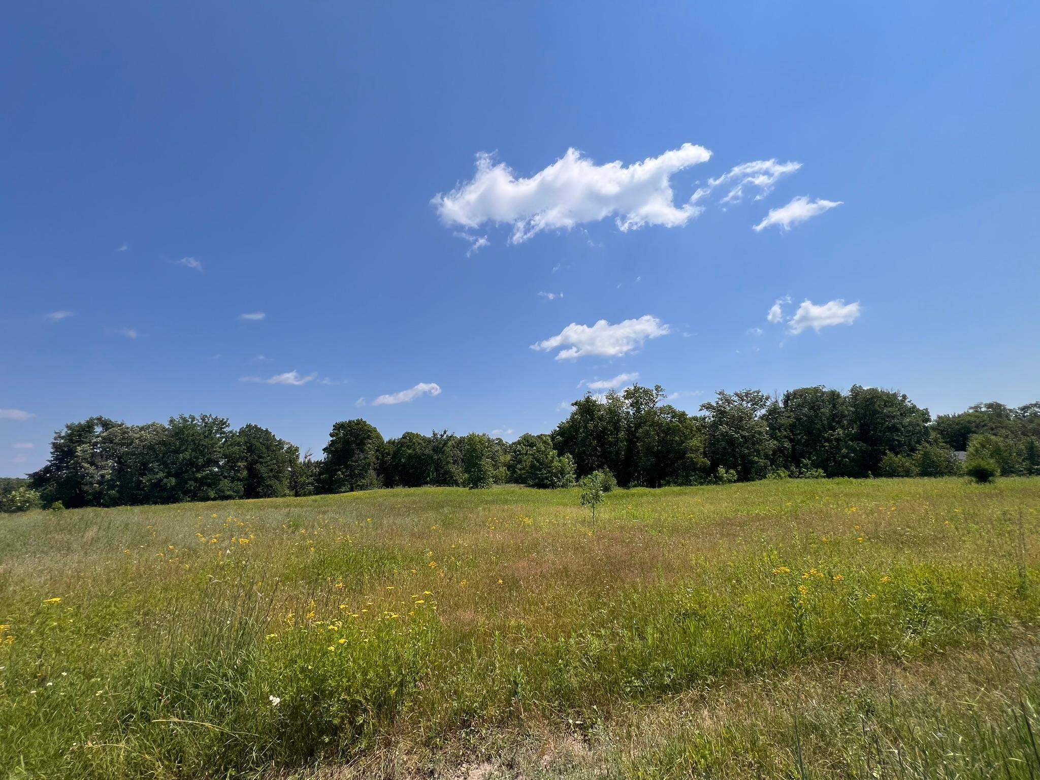 36200 County Road 39, Laporte MN 56461 - Photo 3 of 14