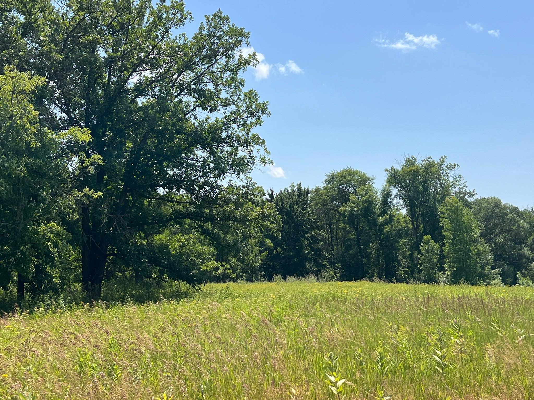 36200 County Road 39, Laporte MN 56461 - Photo 4 of 14